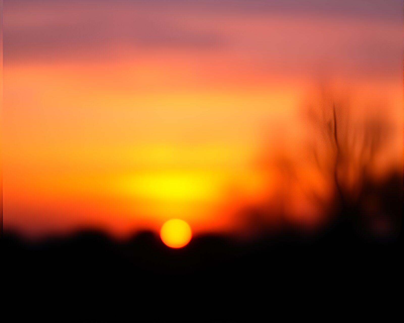 Colorful soap film-like fruit tart silhouetted against twilight sky