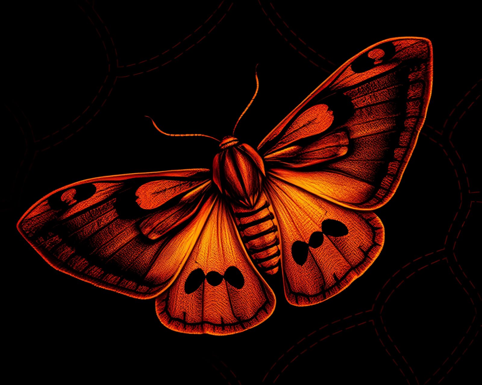 Intricate stitched moth design in dramatic lighting
