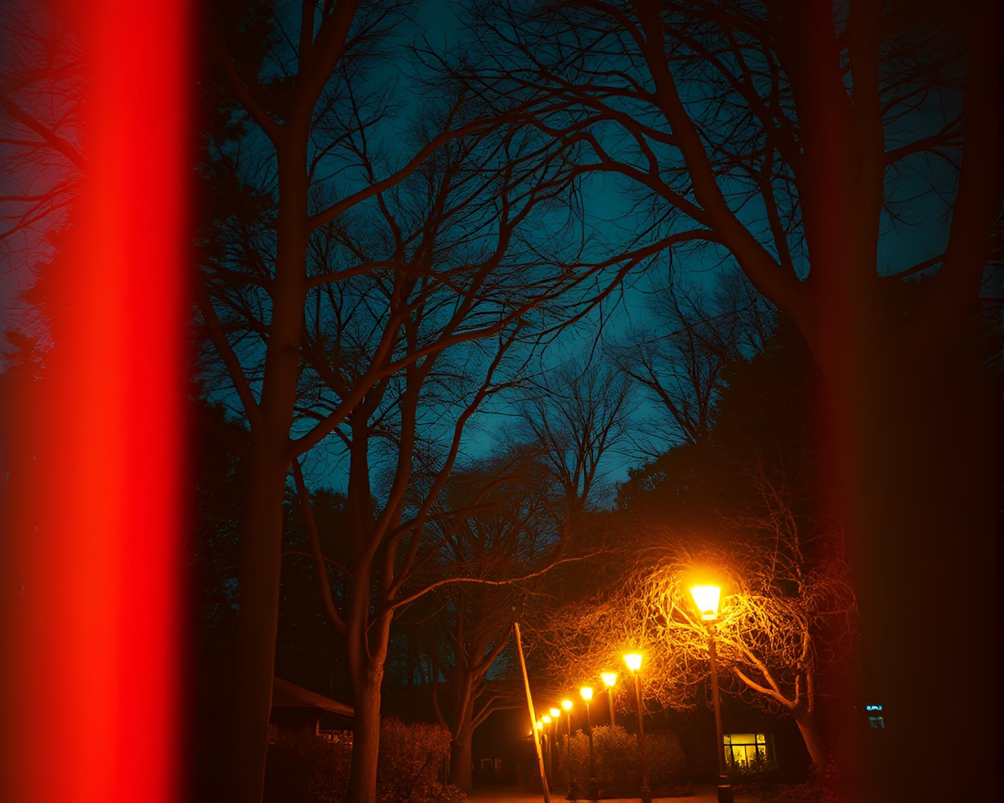Enchanted Ancient Grove Bathed in Dusky Streetlamp Glow – free AI stock image