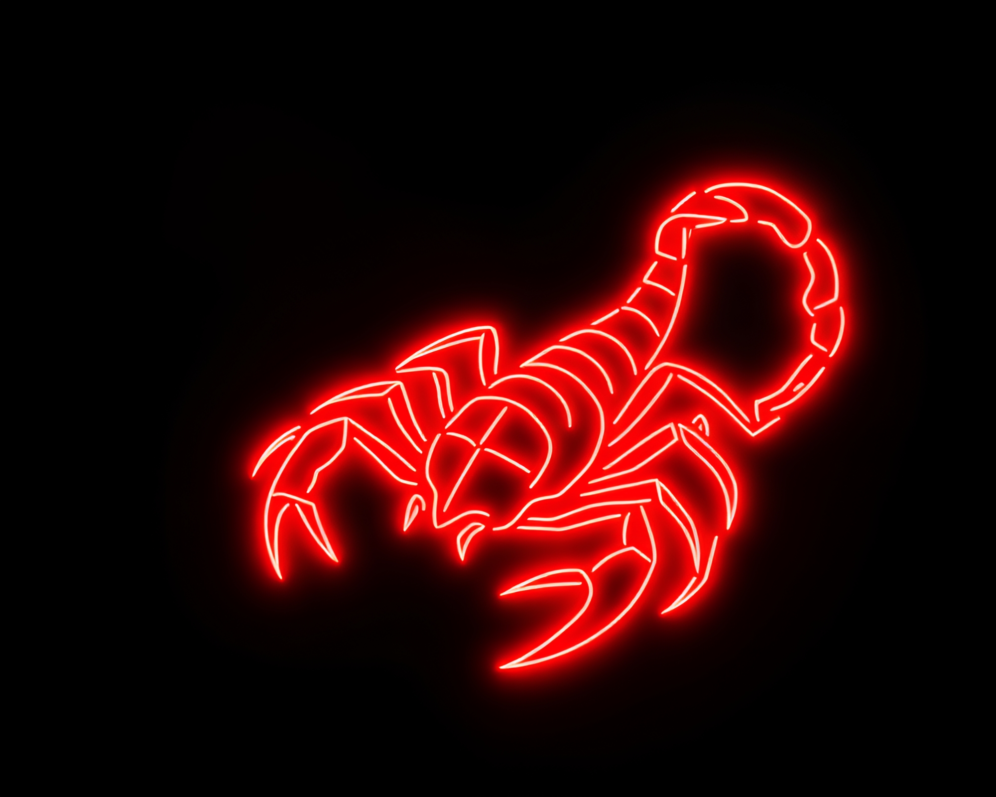 Neon Scorpion Silhouette Illuminated in Muted Shadows – free AI stock image