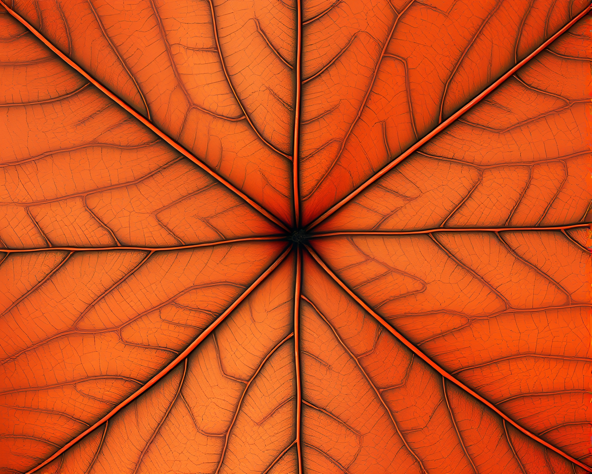 Jetpack Leaf Vein Geometric Abstraction – free AI stock image