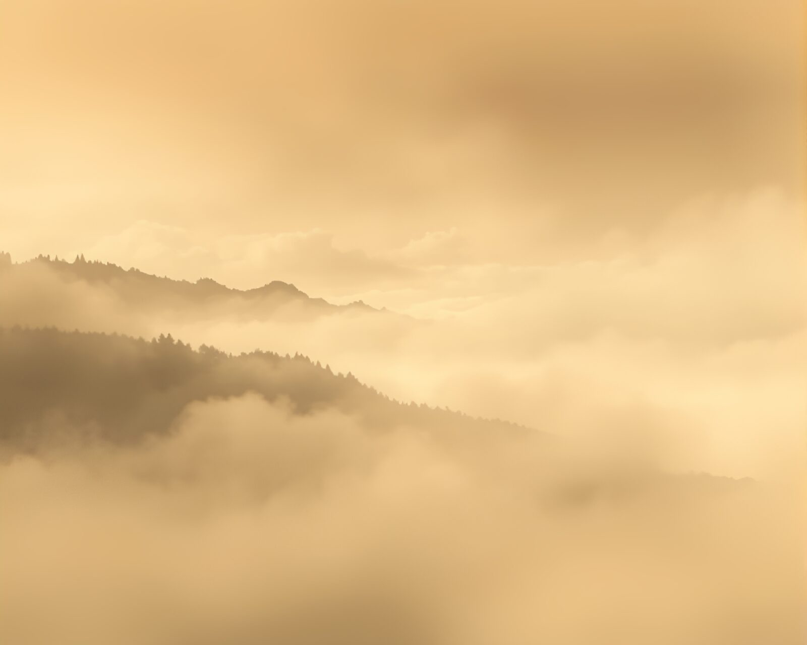 Illustration of a dragon made of satin ribbon in a foggy landscape