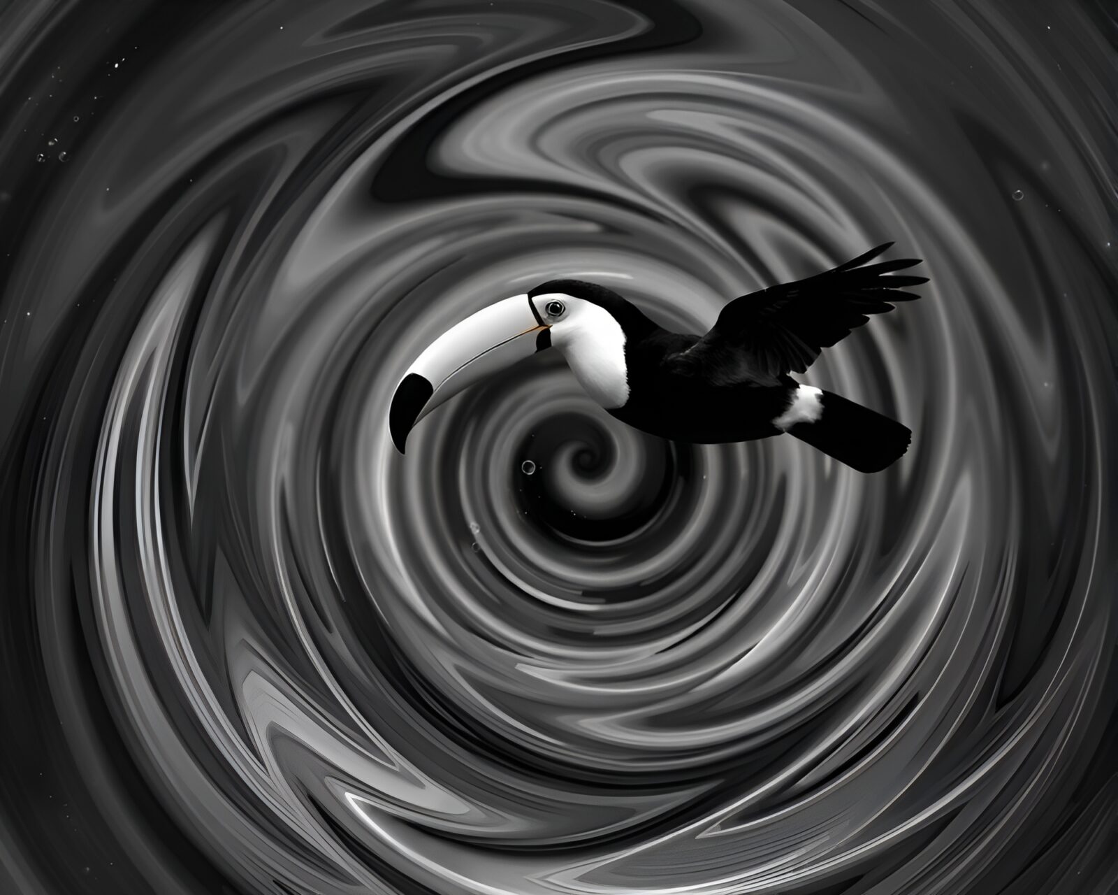 Black and white toucan surrounded by milky way swirls