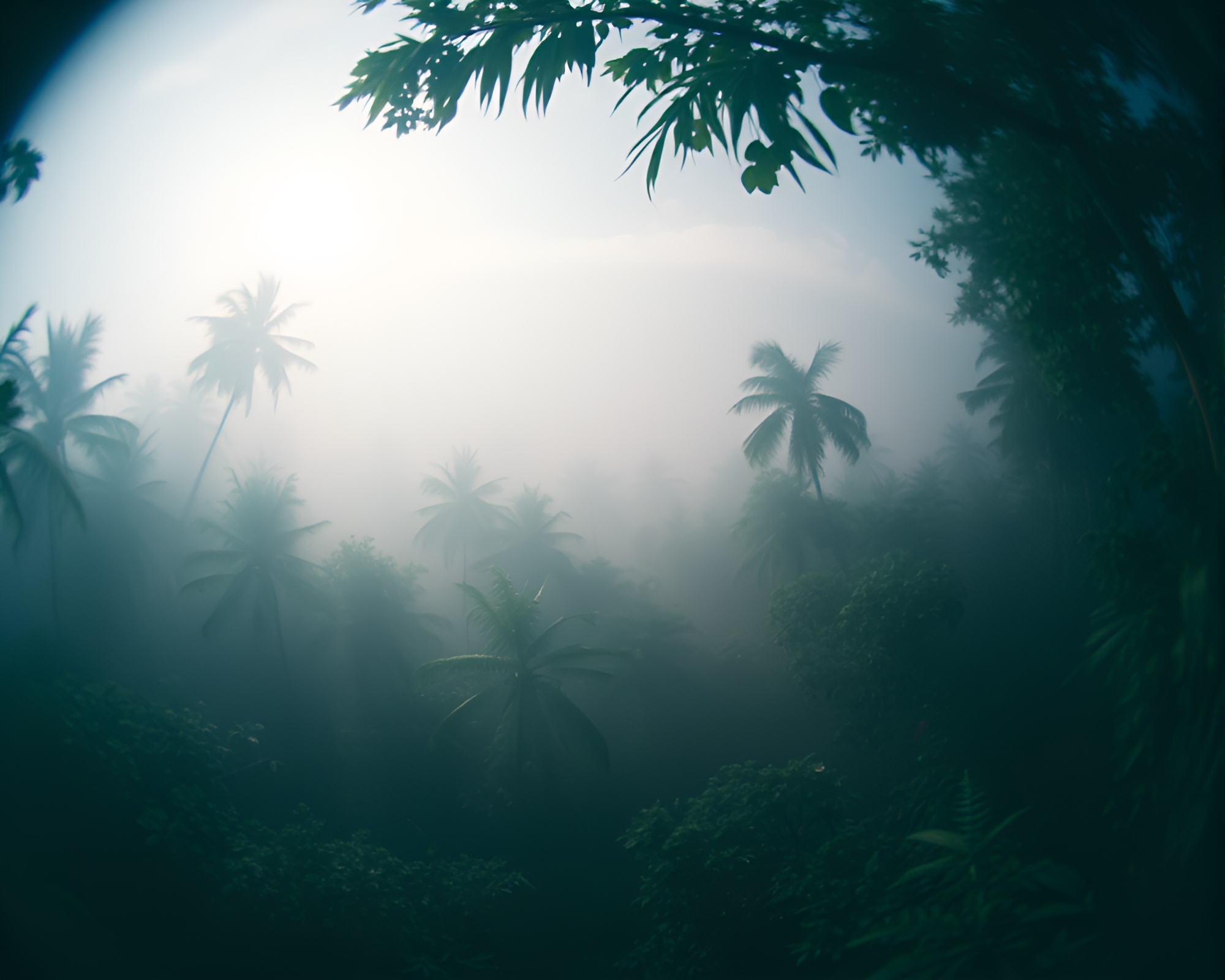 Enchanted Jungle: Fisheye Landscapes and Ethereal Light – free AI stock image