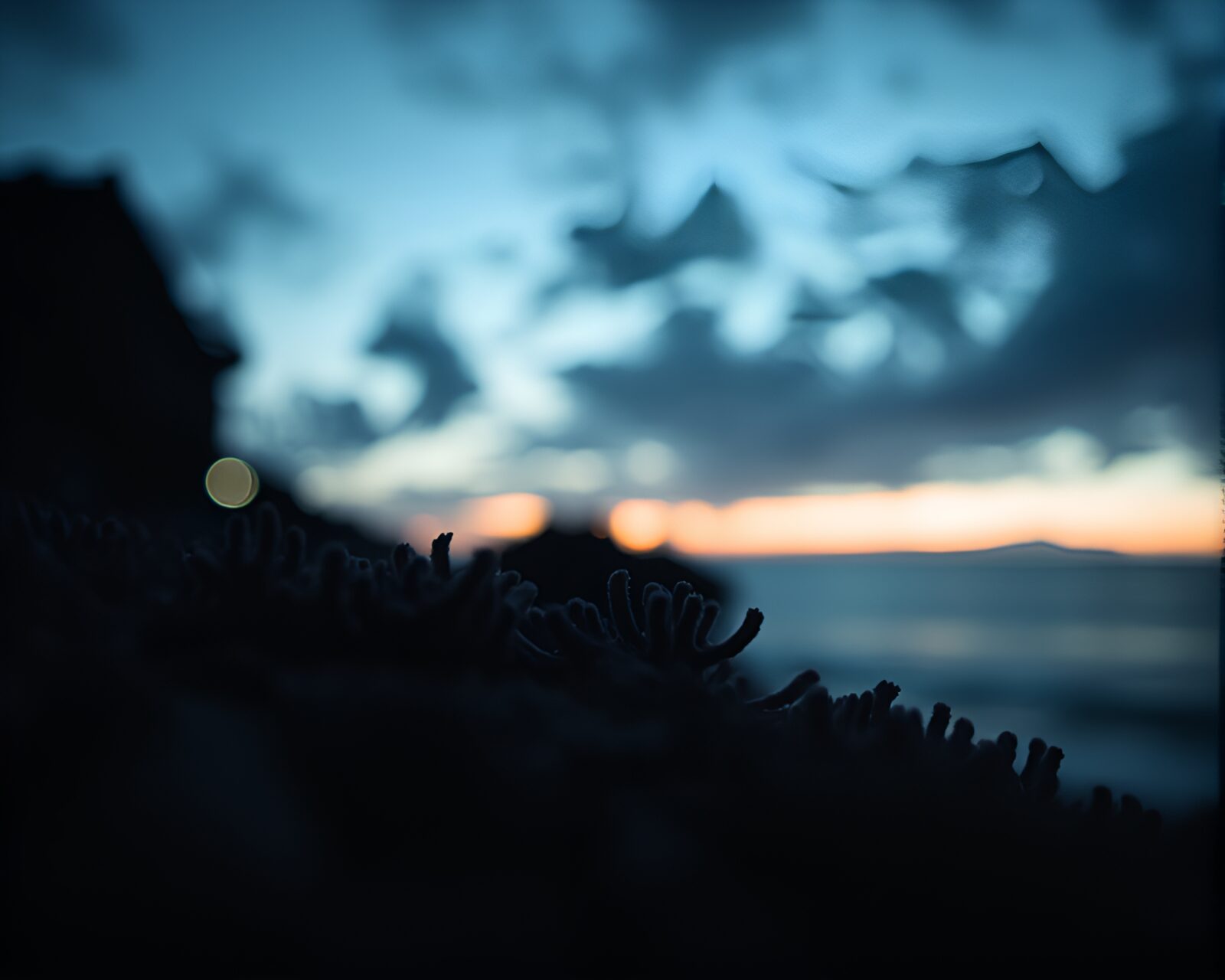 Vibrant duotone image of twilight reef with bokeh lights