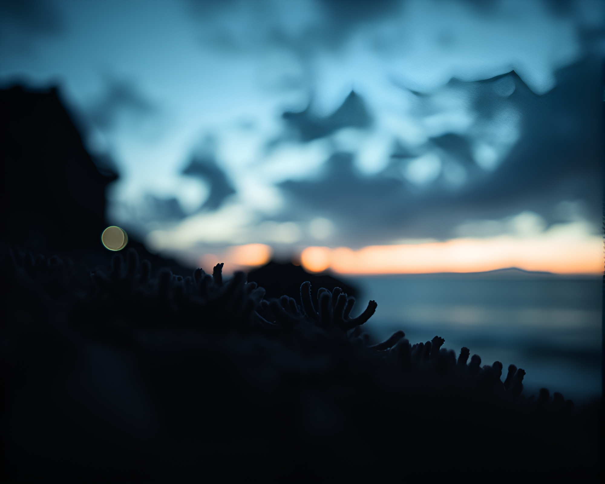 Glimmering Coral Reef at Dusk with Bokeh Foreground – free AI stock image