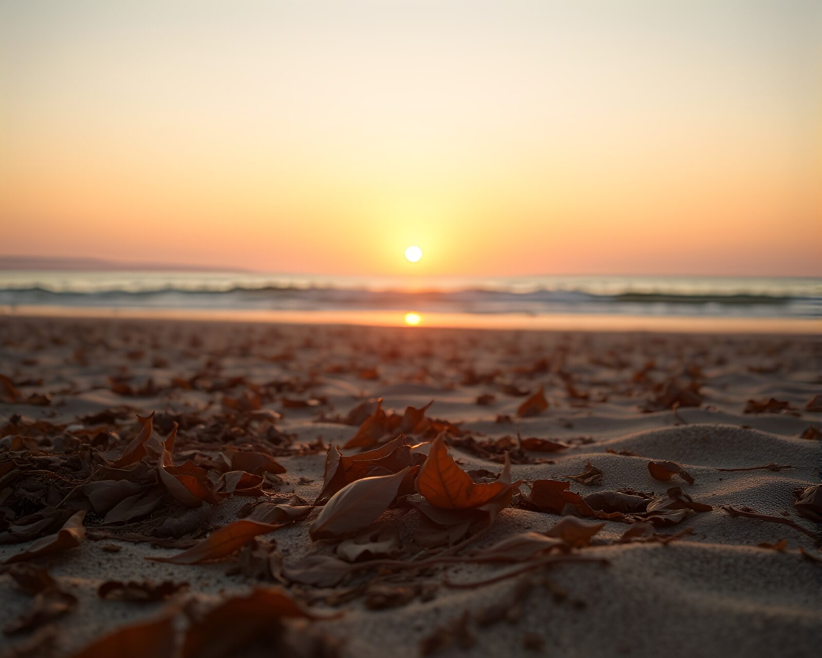 Surreal beach scene with sunset hues and moving leaves