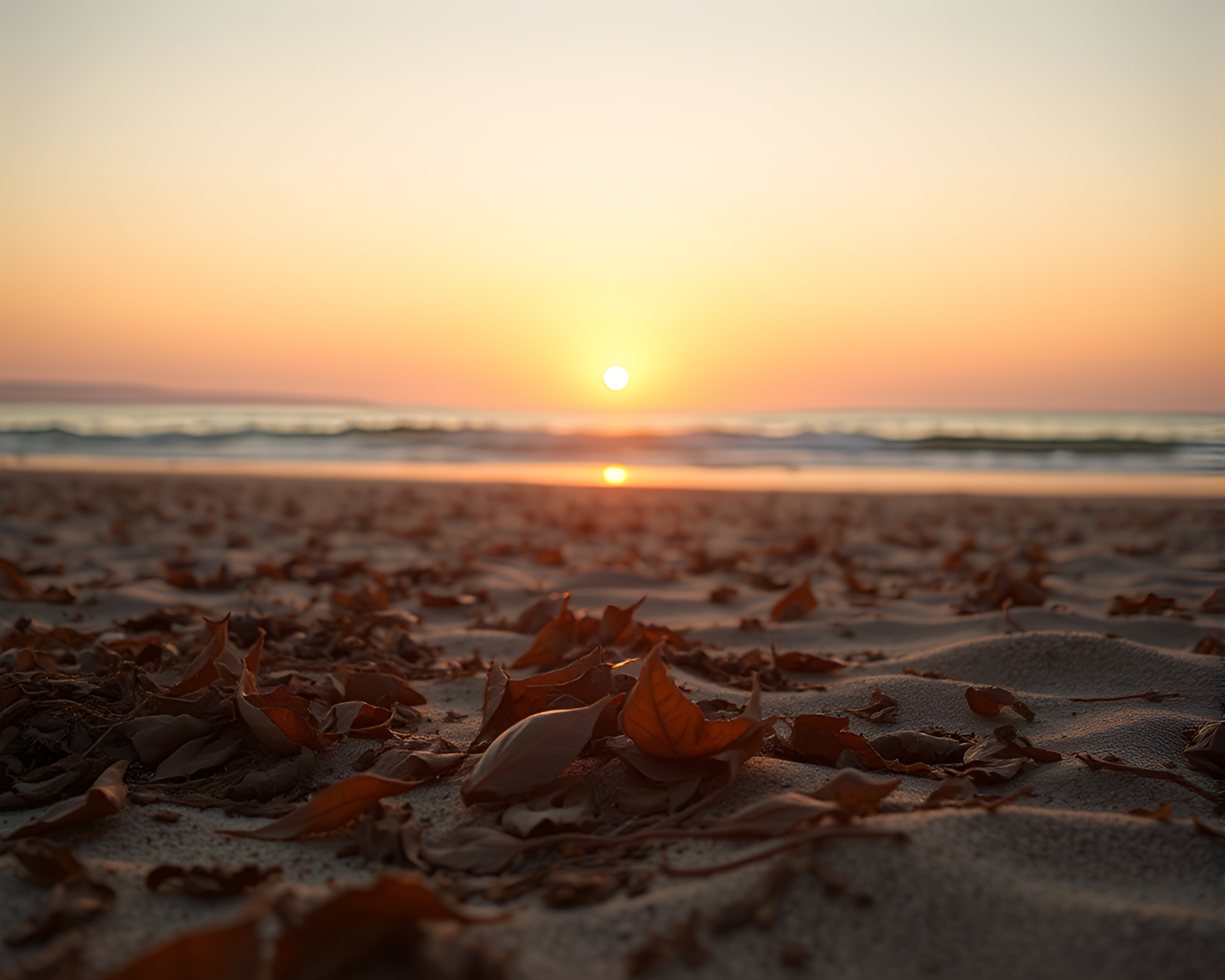 Beach Sunset Cinemagraph with Leaf Litter Composition – free AI stock image