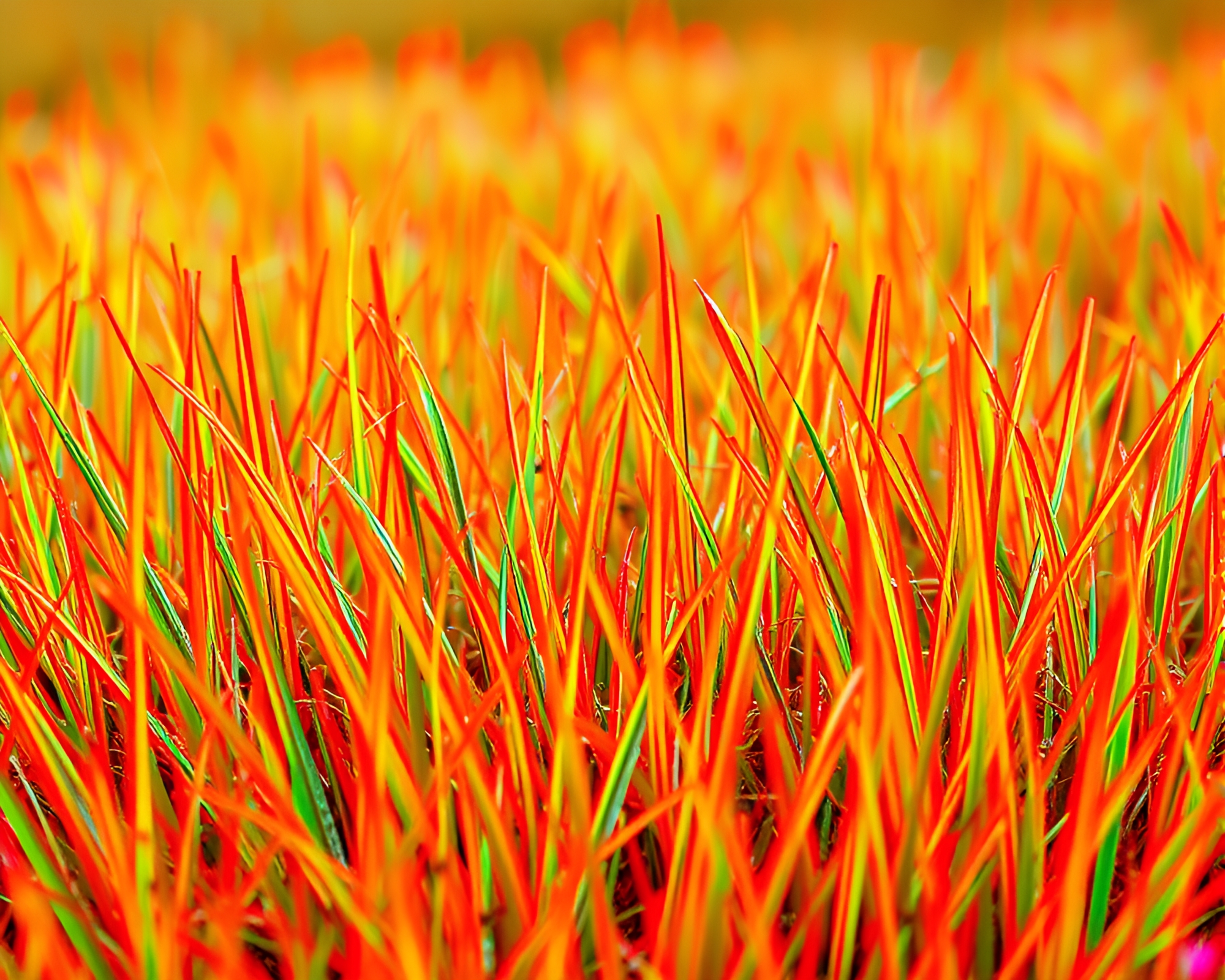 Neon Savannah: Vibrant 3D Grass Textures – free AI stock image