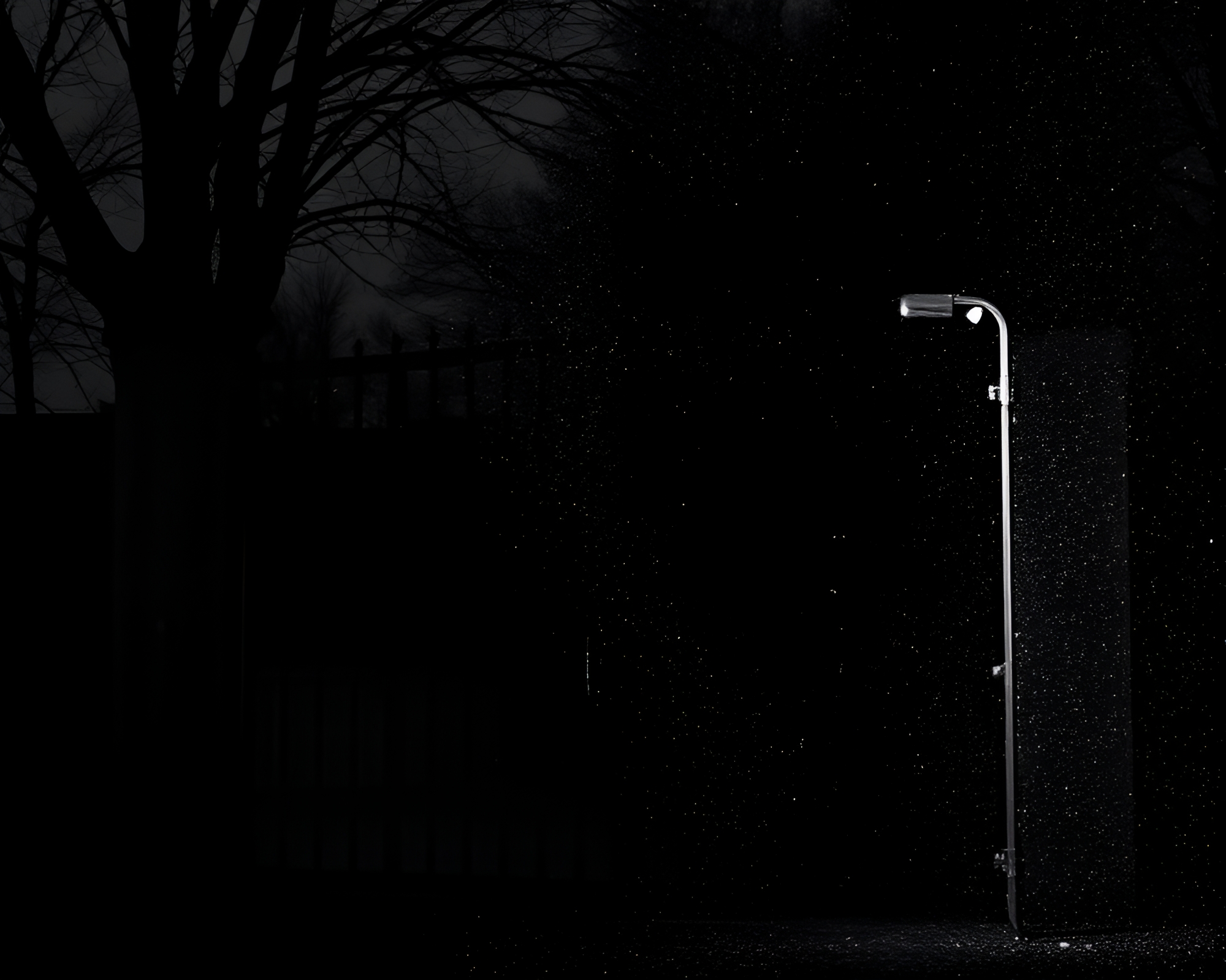 Elegant Wrought Iron Gate in Glitter Noir Night – free AI stock image