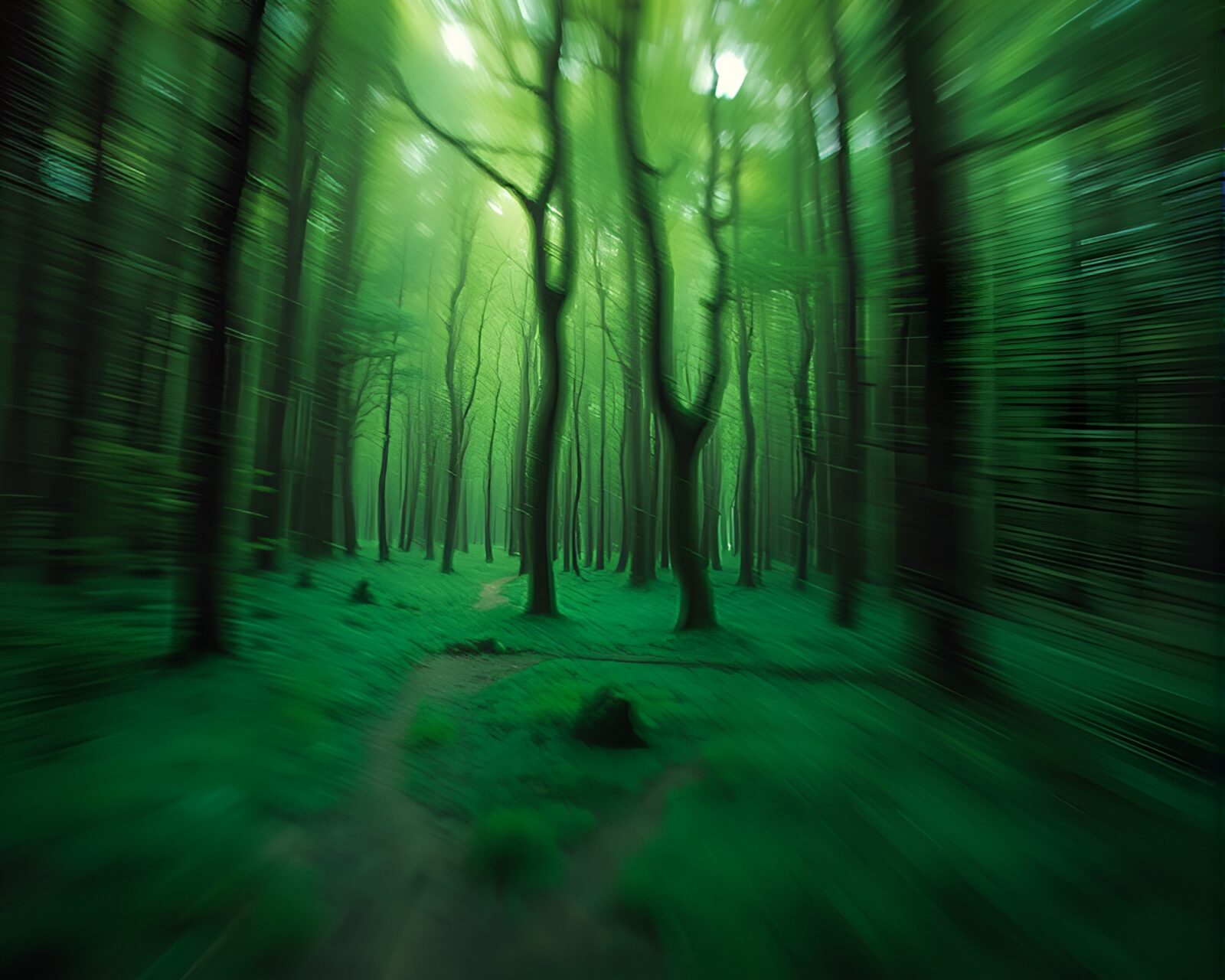 Soft focus green forest with swirling time vortex
