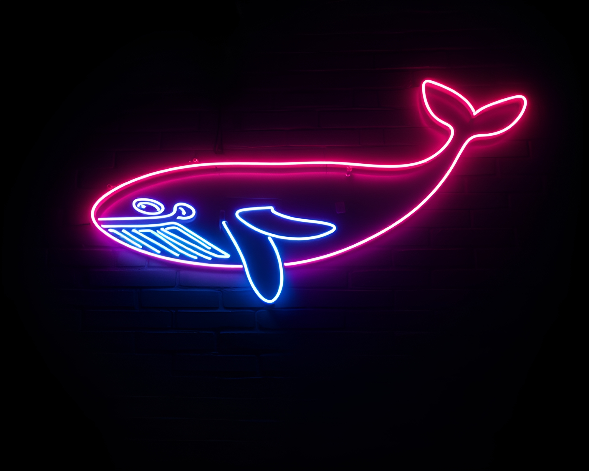 Dynamic Neon Wireframe Whale with Rim Lighting – free AI stock image