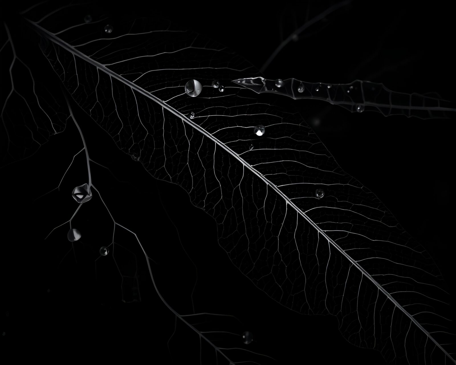 Mysterious high-contrast cubist crystal in intricate leaf vein pattern