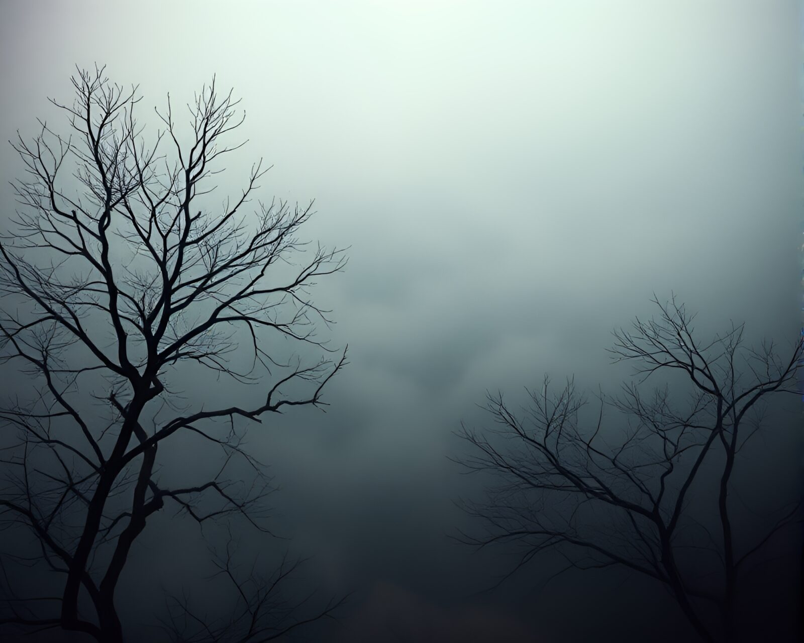 Hazy diffusion over surreal landscape in bird's eye perspective