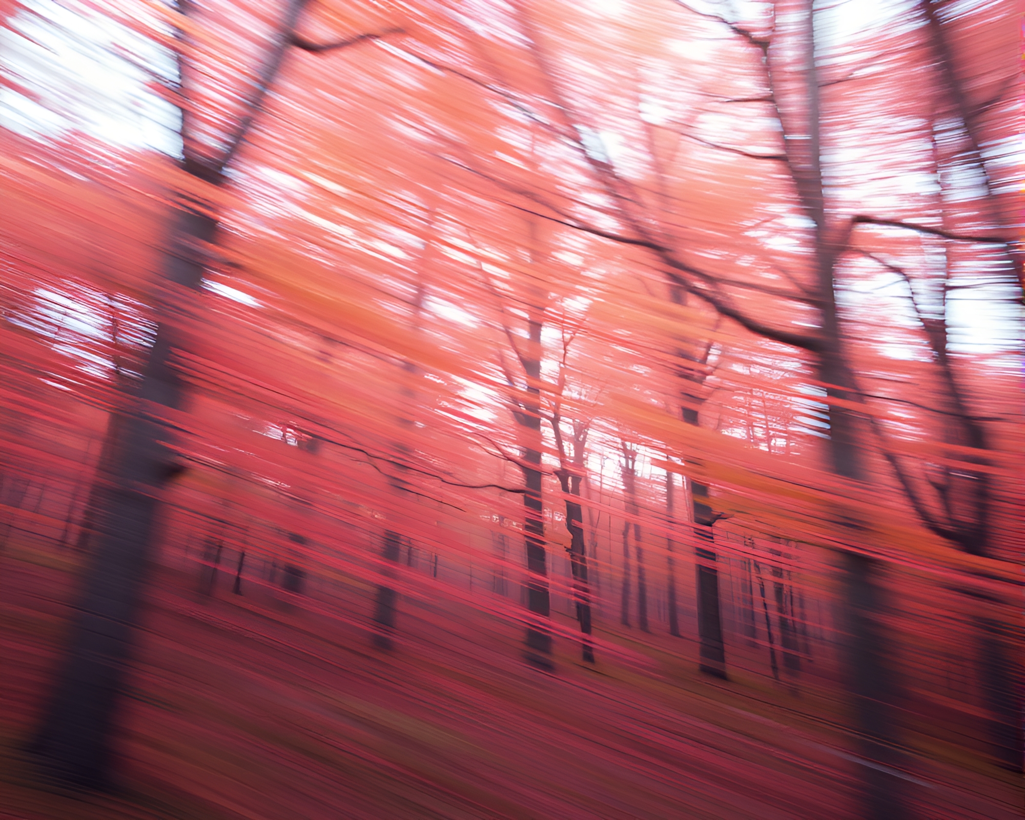 Autumn Forest Motion Blur Streaks Low-Poly 3D Render – free AI stock image