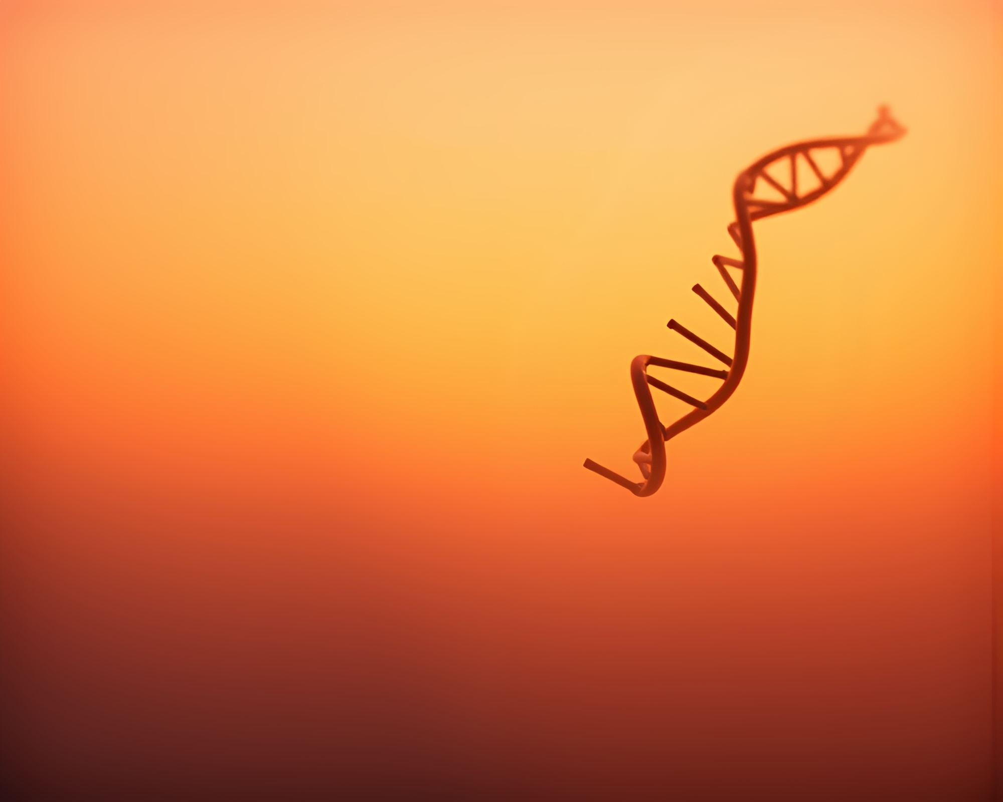 Sunset DNA Helix in Minimalist Ambient Occlusion – free AI stock image