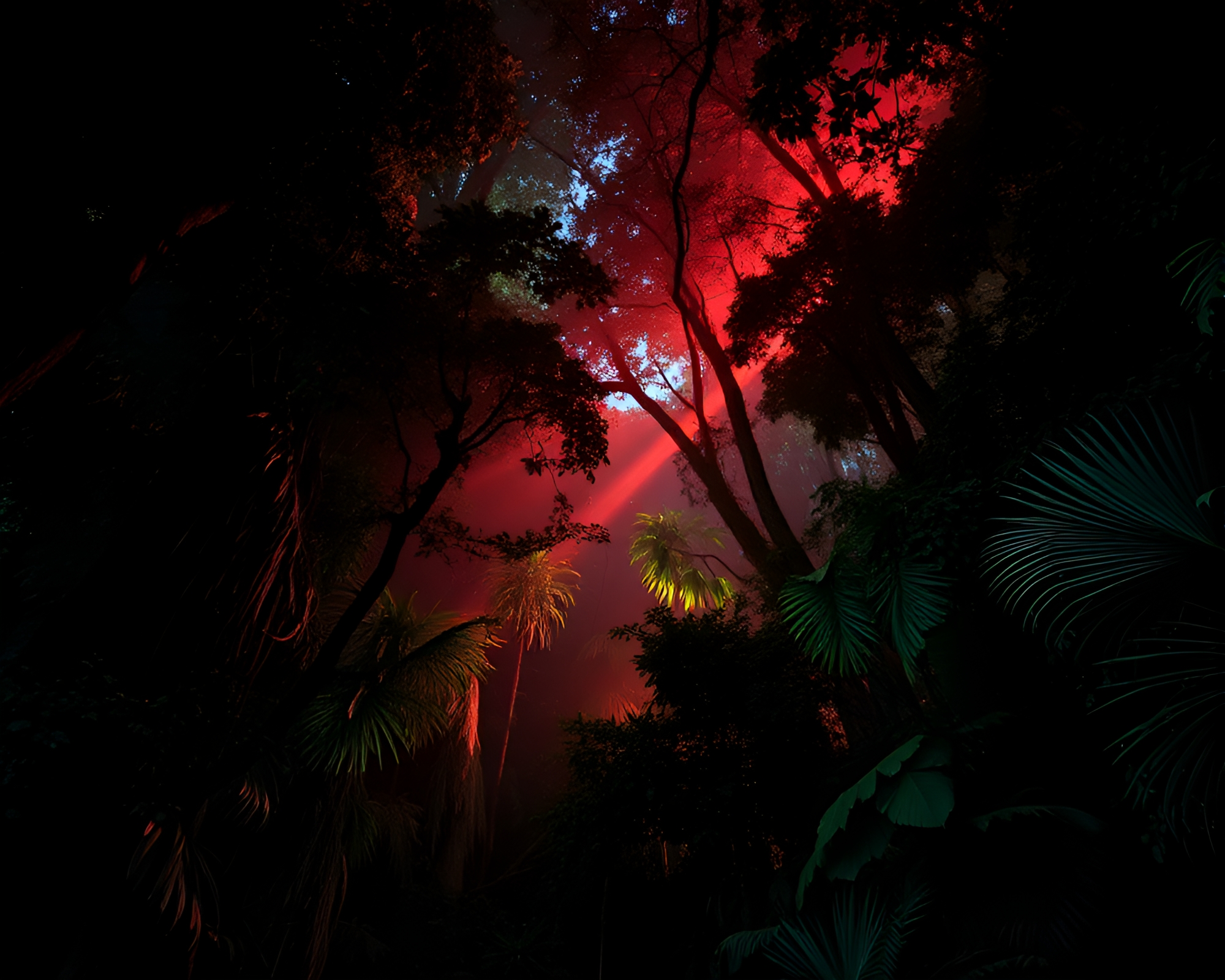Dynamic Rainforest Canopy in Torchlight – free AI stock image