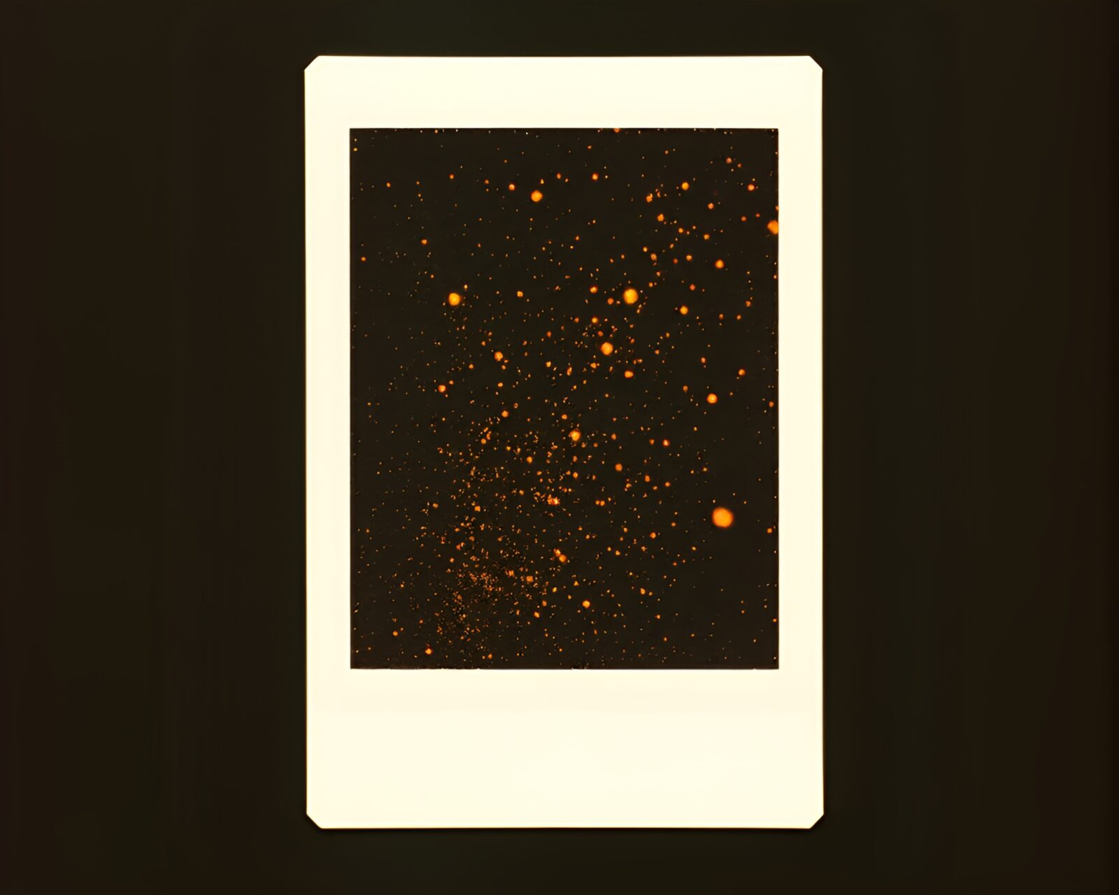 Ethereal off-white image with floating particles and vintage camera