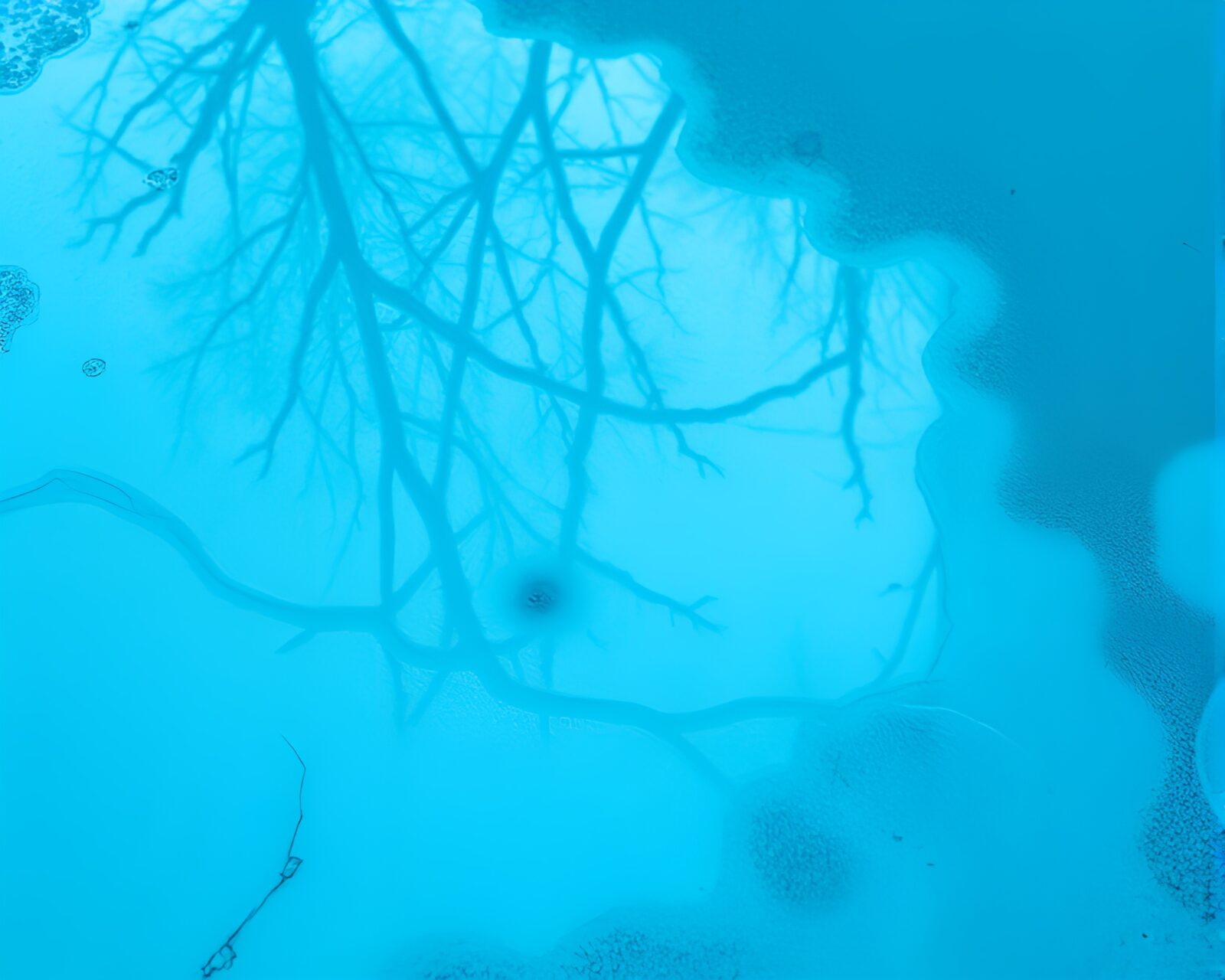 Dripped paint style fractal pattern reflected on icy surface