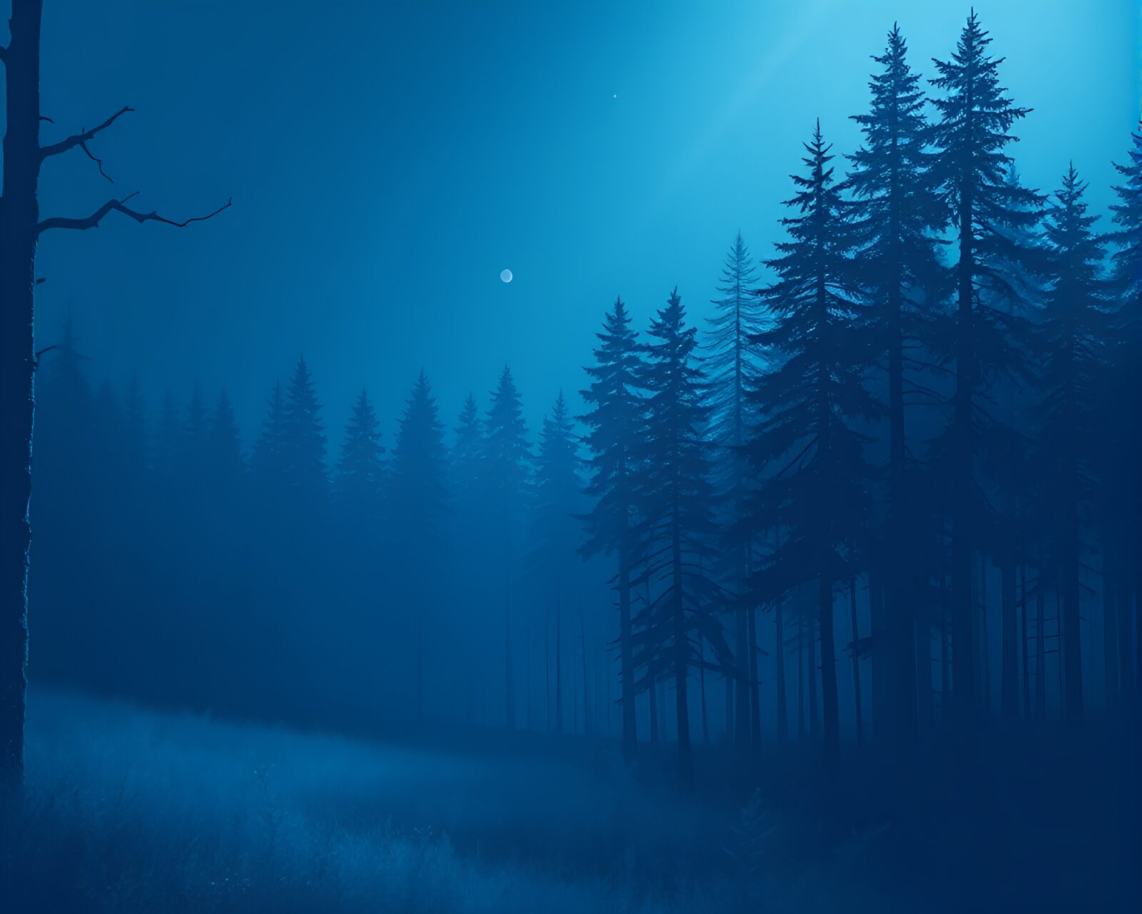A mystical forest in deep blue hues with intricate linework
