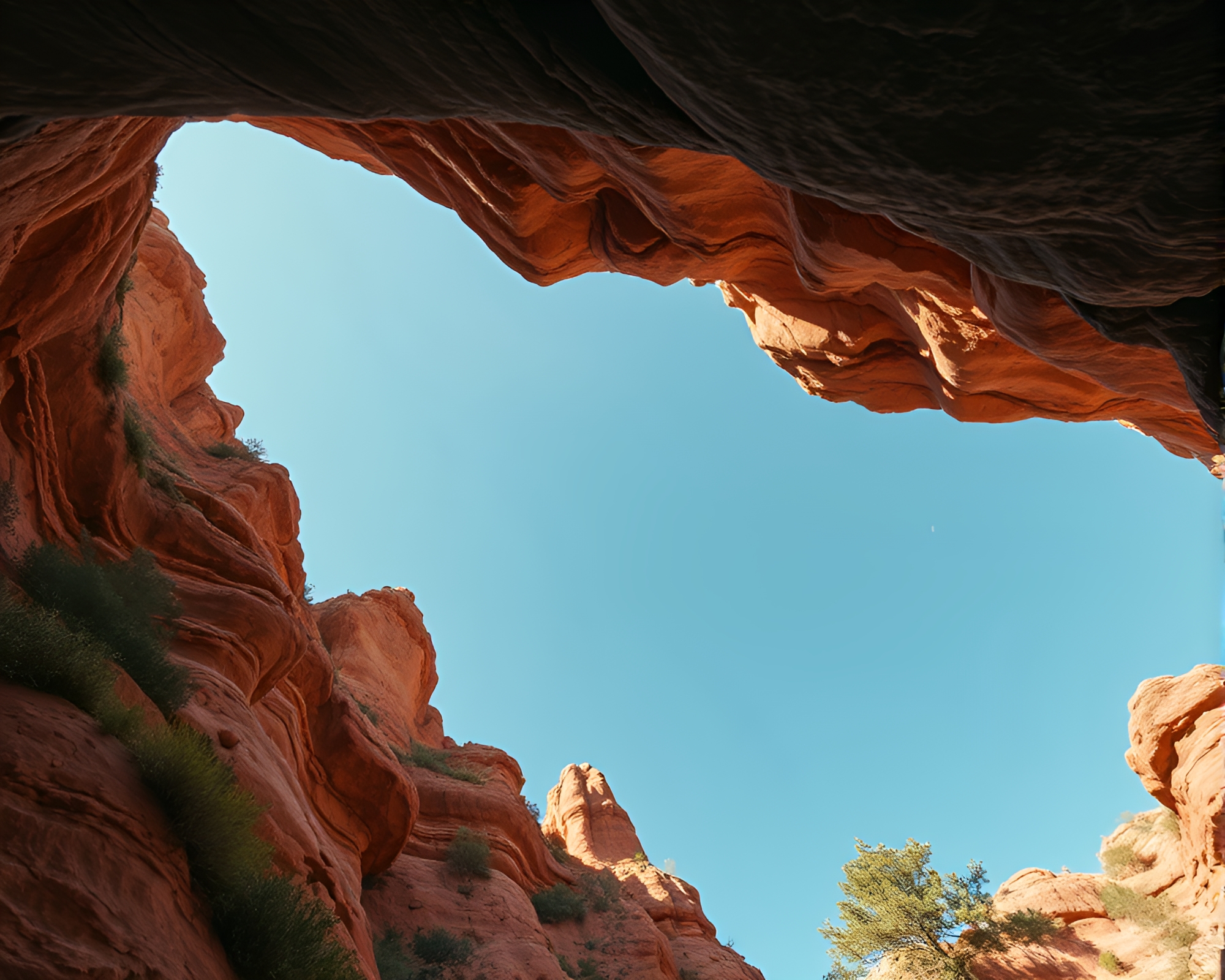 Surreal Sky Garden Canyon Rust Tone Composition – free AI stock image