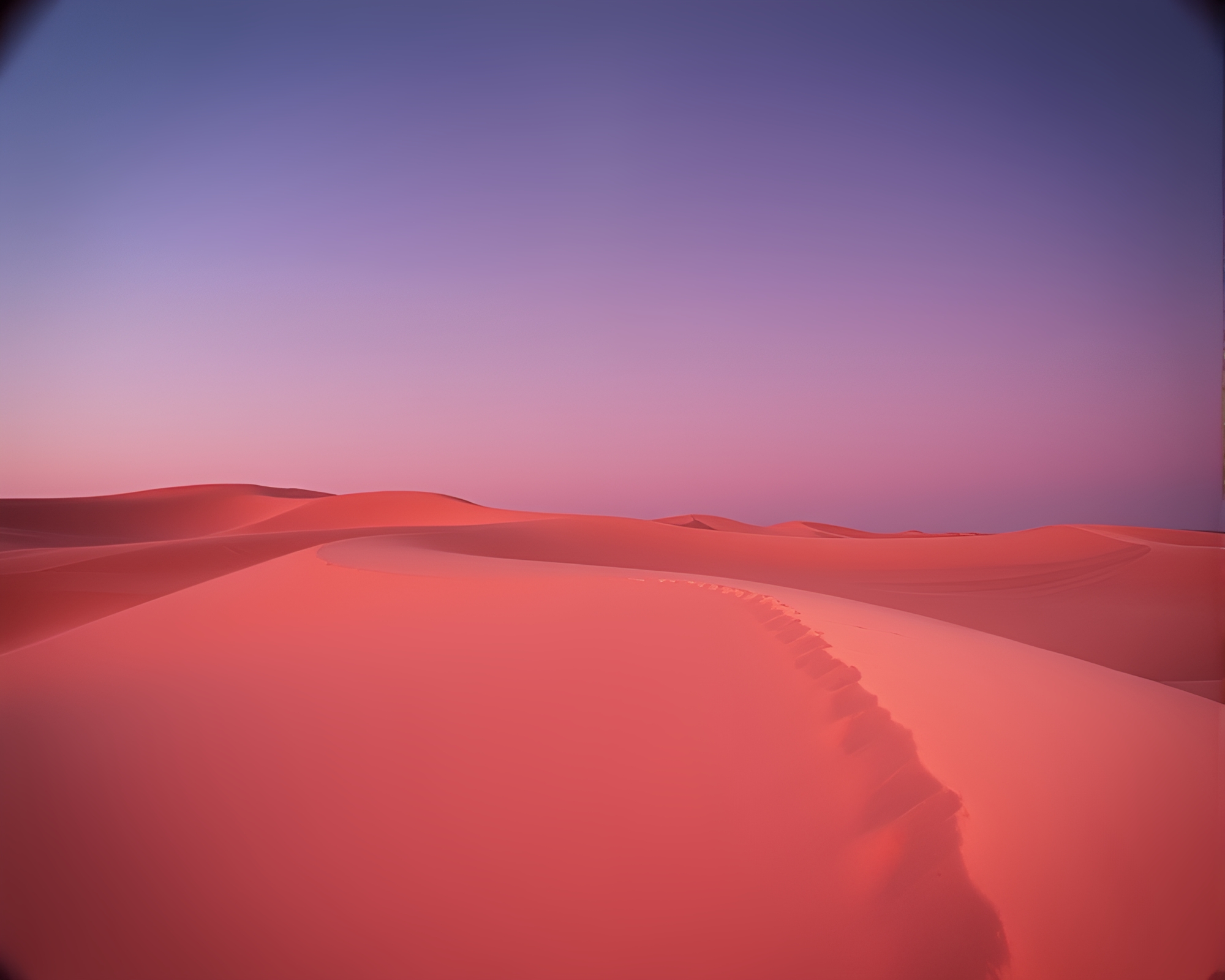 Blushing Dune Noir 360° View – free AI stock image