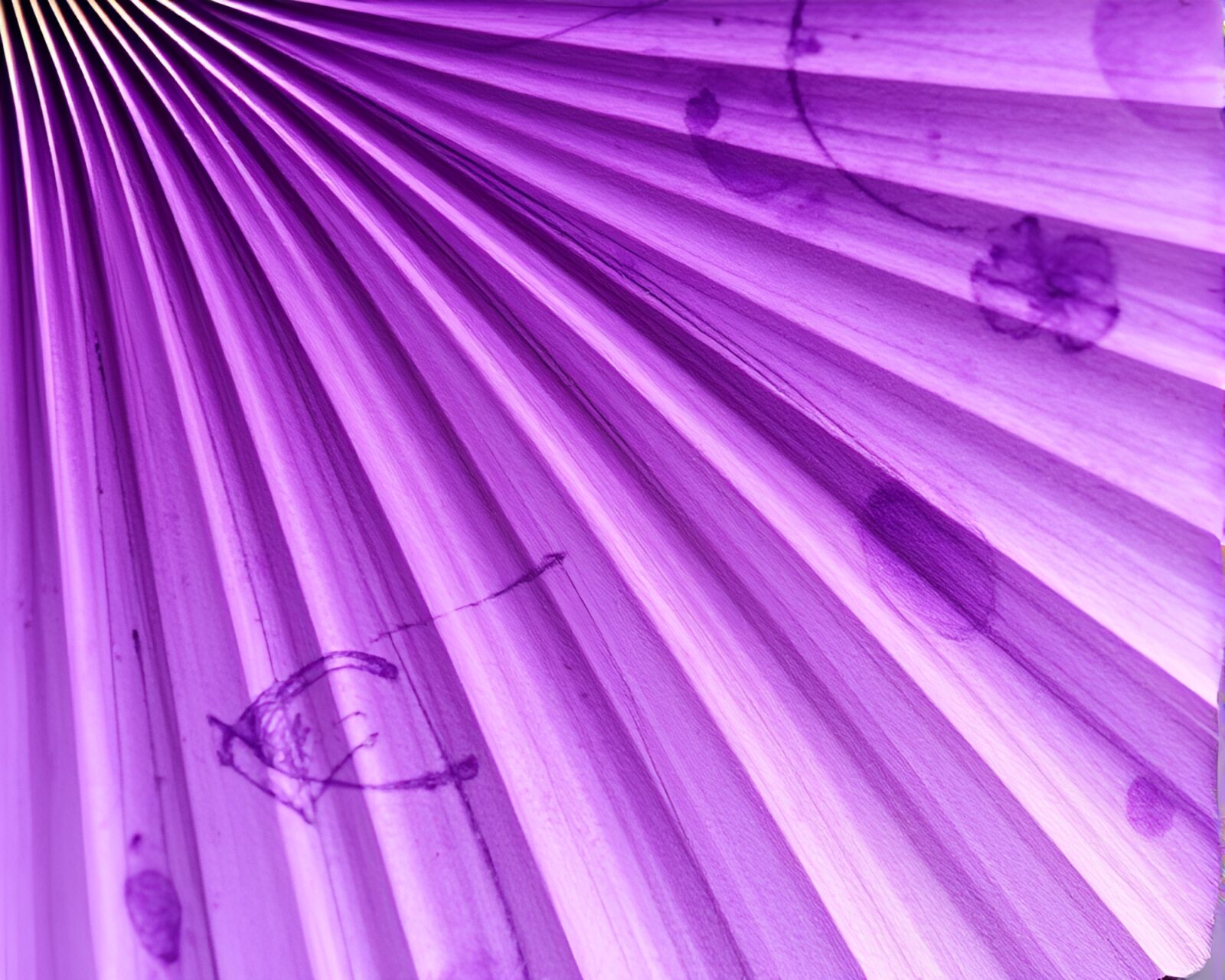 Detailed close-up of a hand-painted amethyst fan with botanical illustrations