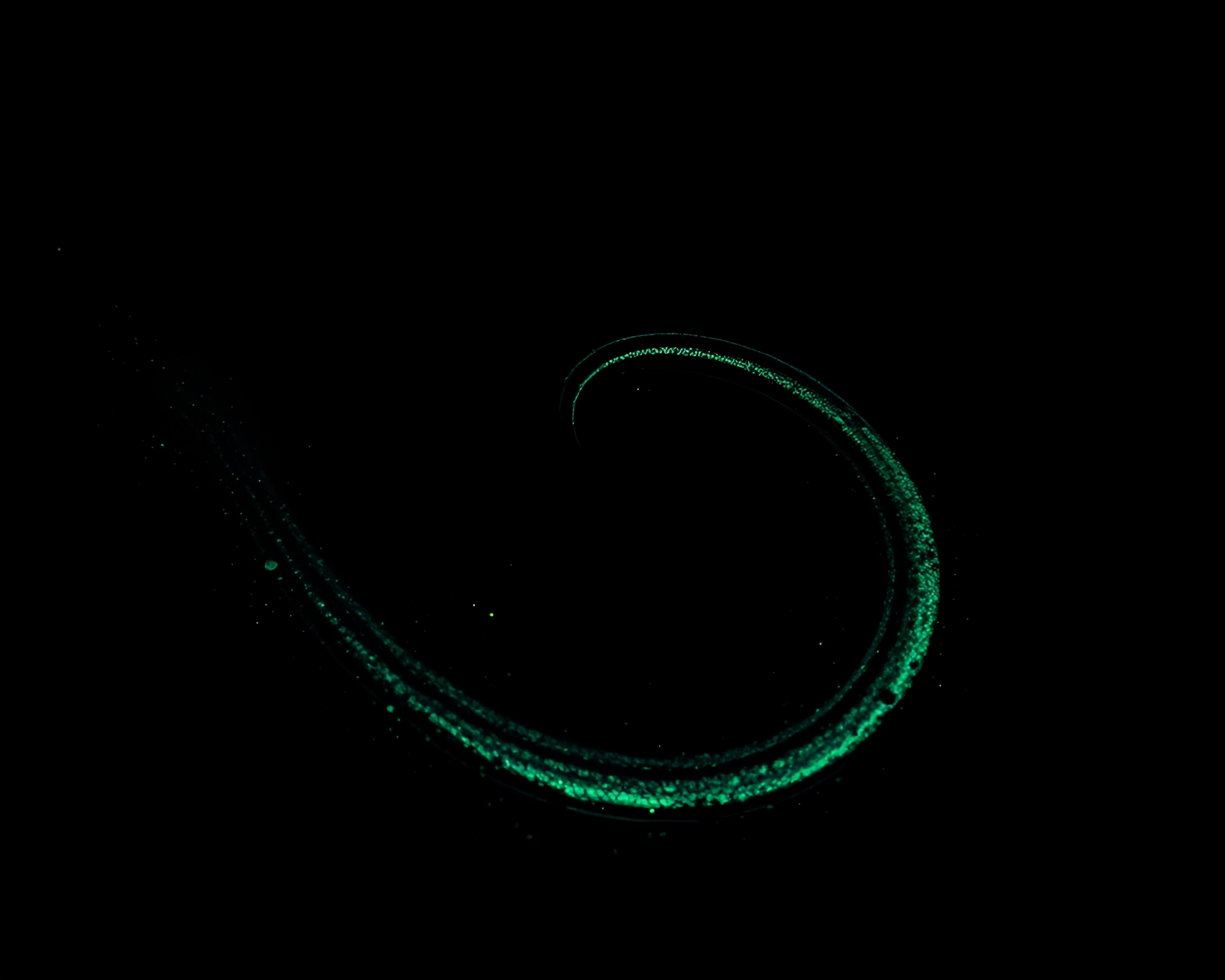 Time Traveler’s Sand Swirl Illumination – free AI stock image