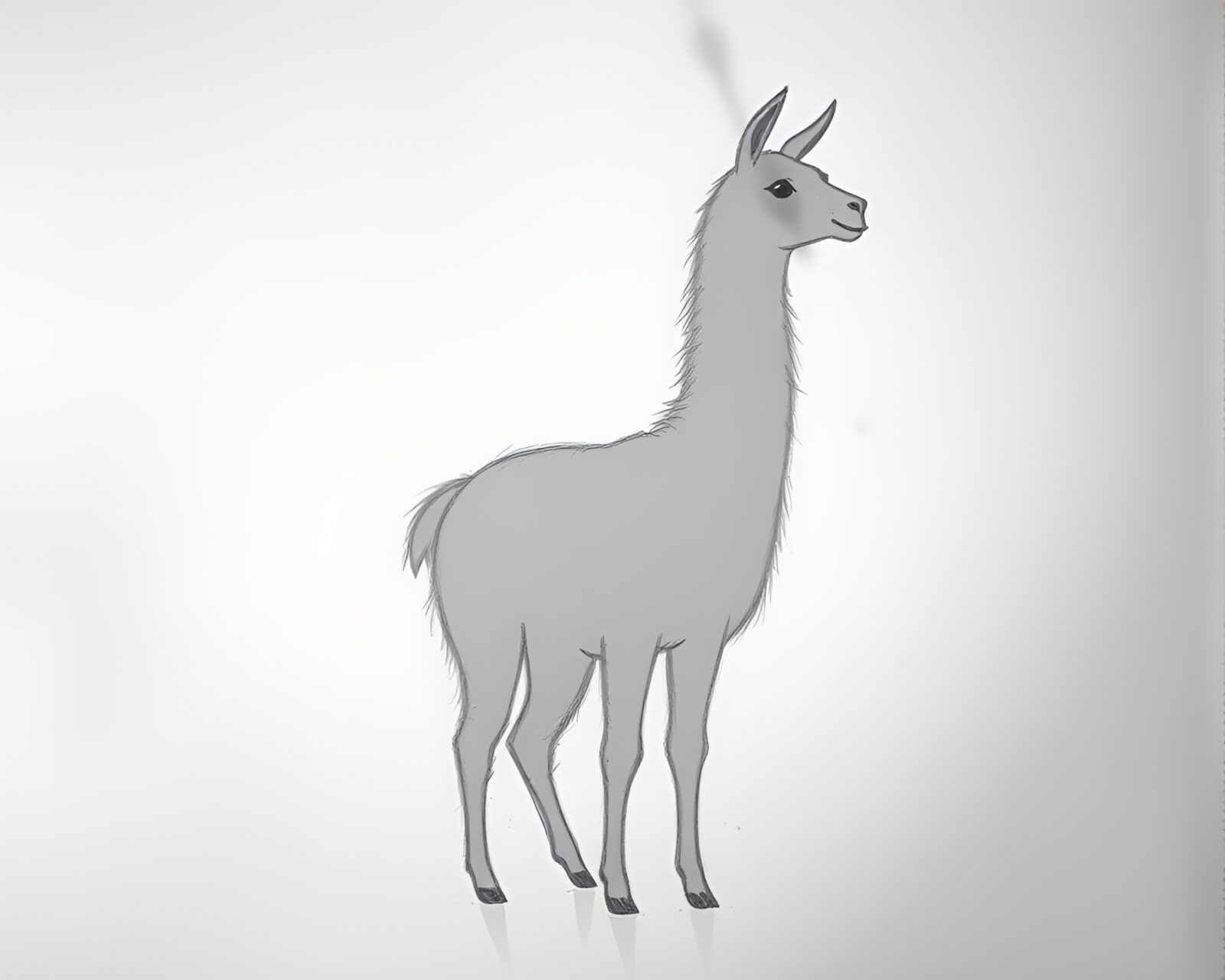 Pencil sketch of majestic llama standing under shimmering stars