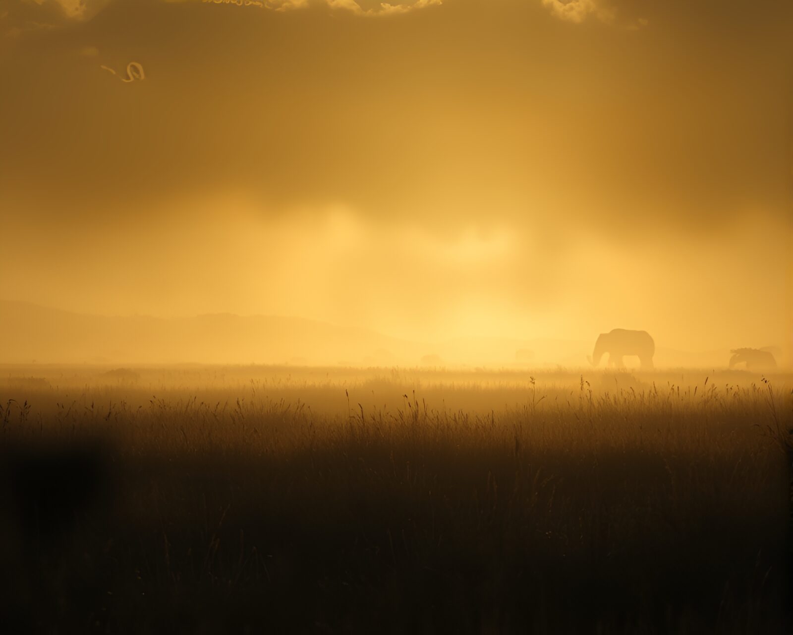 Savannah grass in smoky haze with artistic etching