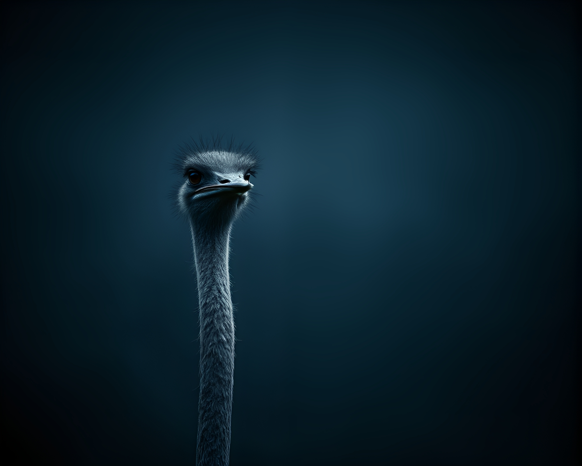 Mystical Ostrich Gazing into Unknown Abyss – free AI stock image