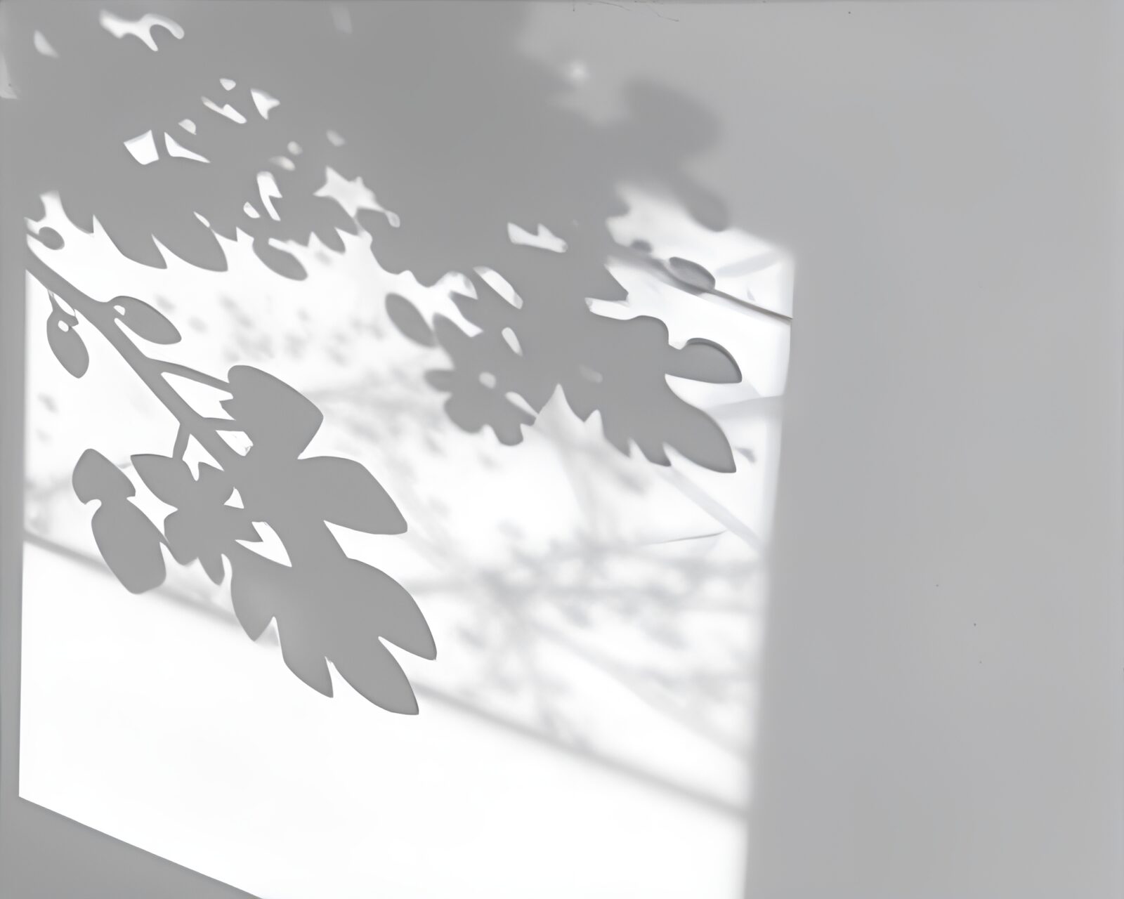 Dynamic black and gray shadows intertwined in action painting
