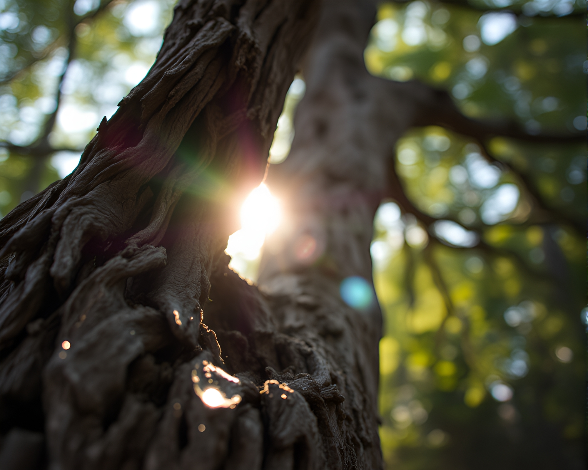 Ancient tree in shattered glass lens filter – free AI stock image