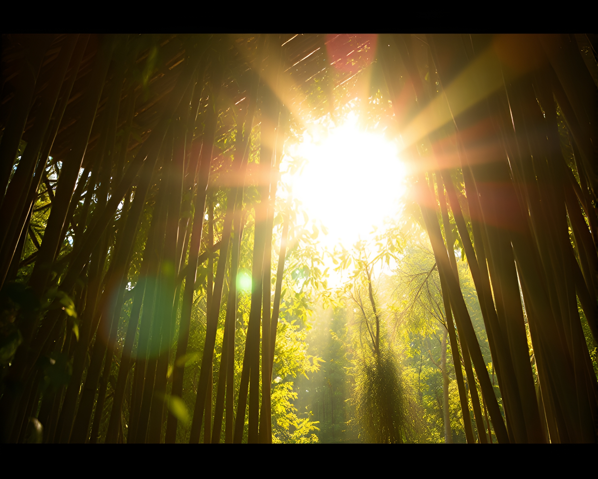 Bamboo Hut in Soft Light Lens Flare – free AI stock image