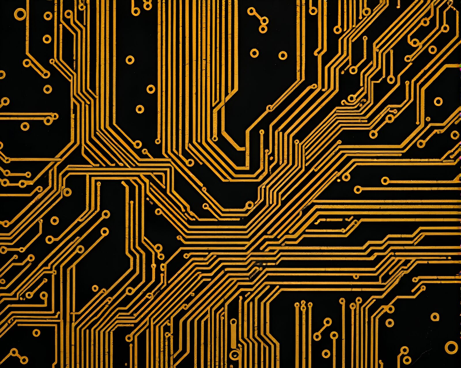 Black and white circuit board design with savanna sunset tones