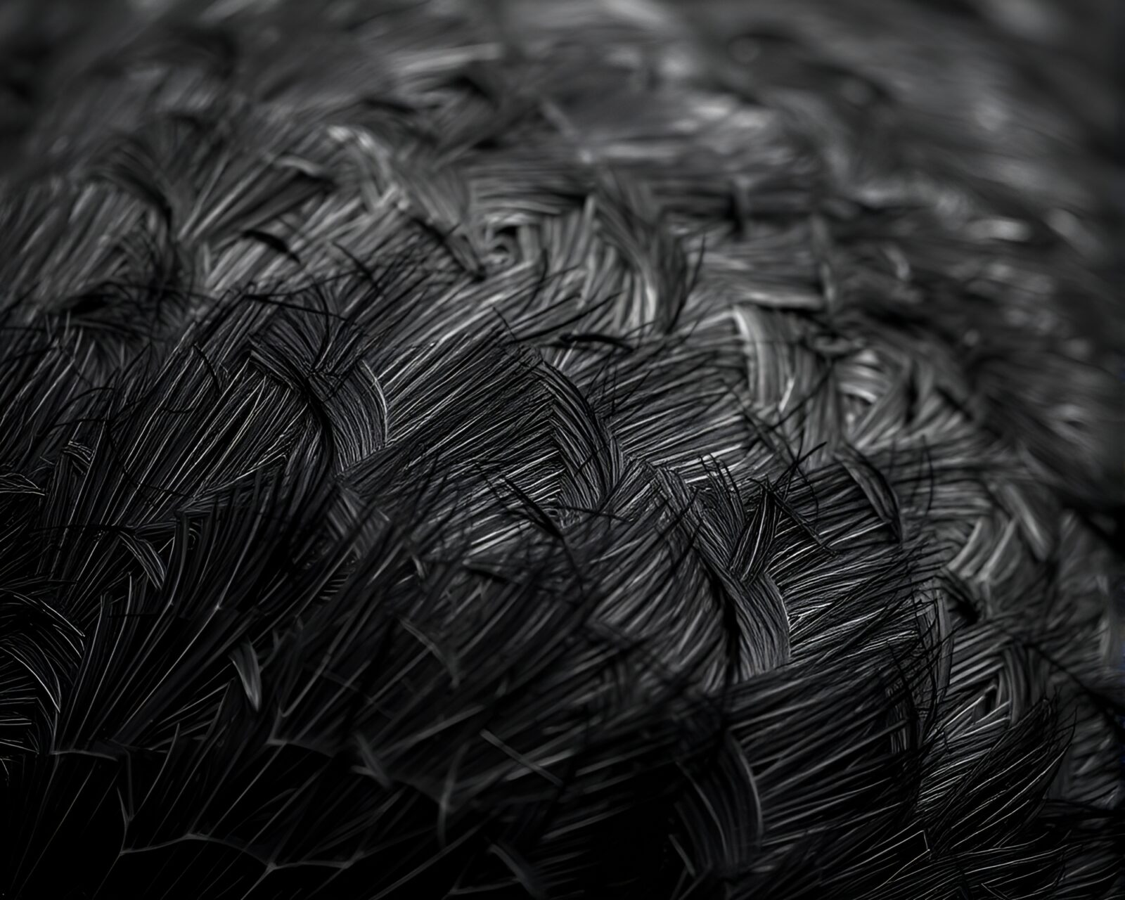 Grainy textured image of an ostrich in high-contrast lighting