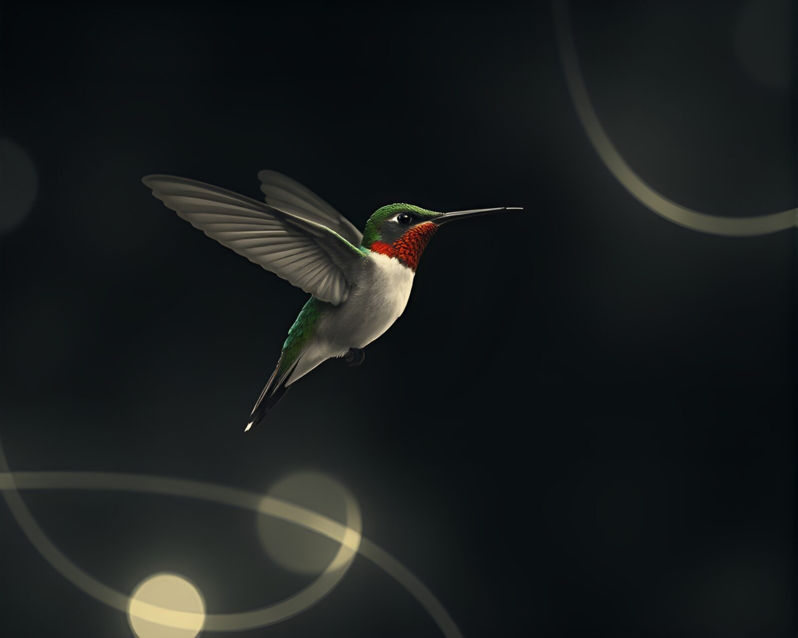 Desaturated hummingbird in dynamic light trail arrangement