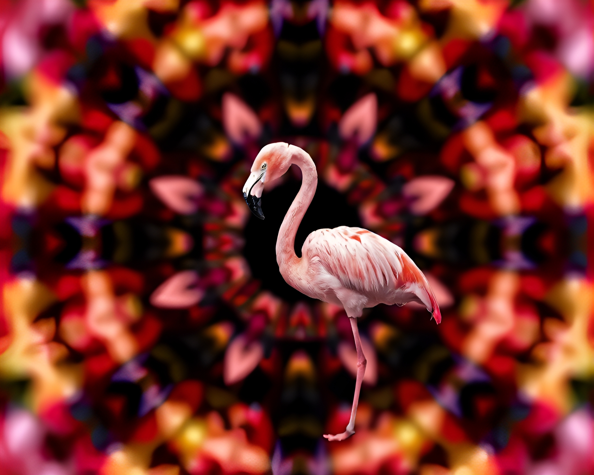 Fractal Flamingo Fantasy with Kaleidoscope Bokeh Effect – free AI stock image