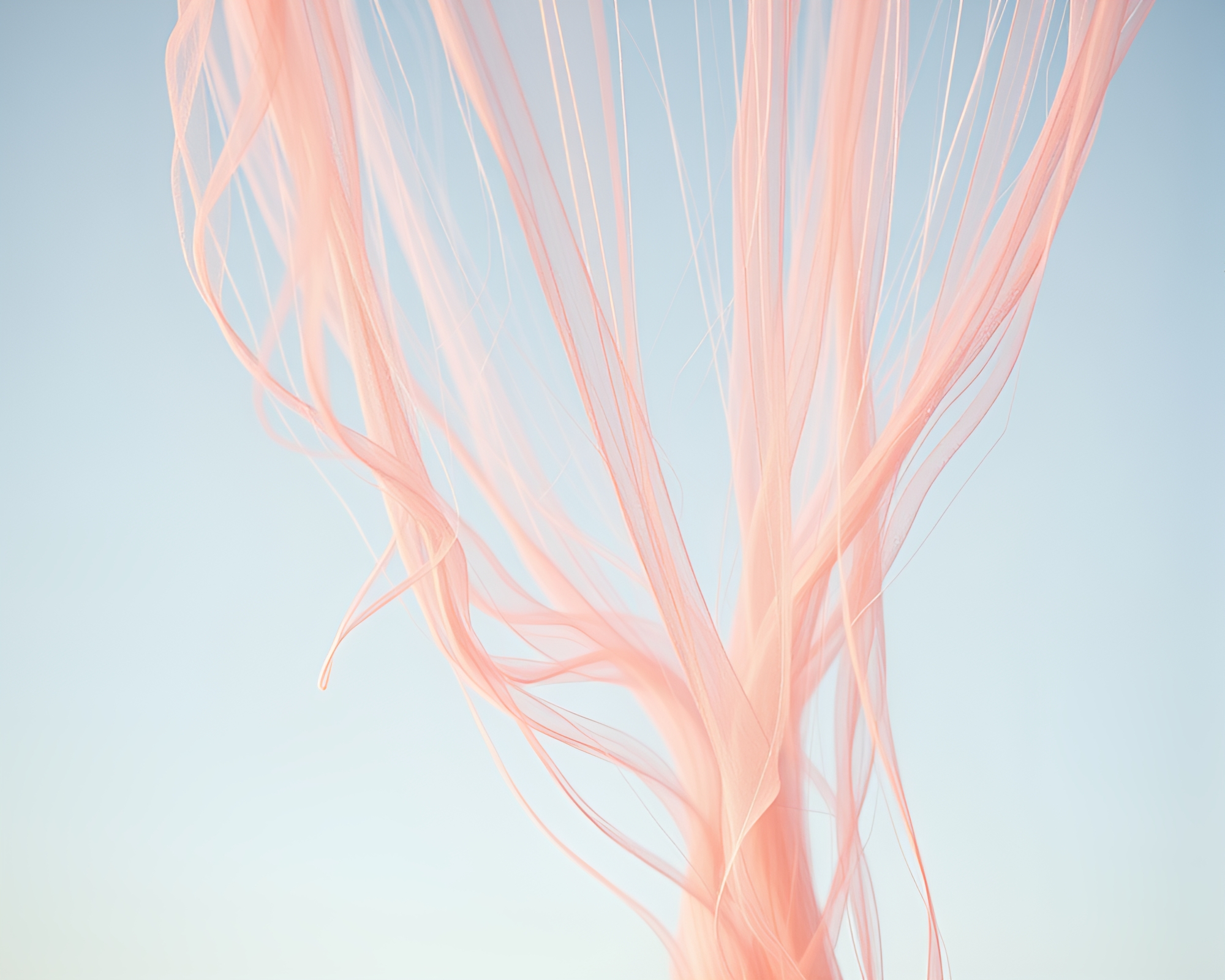 Enchanting Blush Pink Flying Car Cobweb Delight – free AI stock image