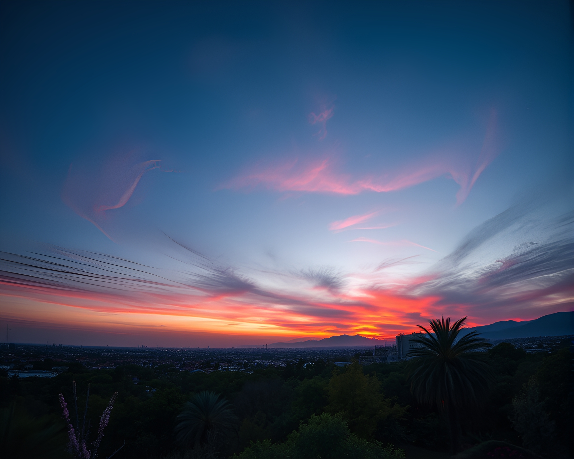 Sunset Sky Garden with Rim Lighting – free AI stock image