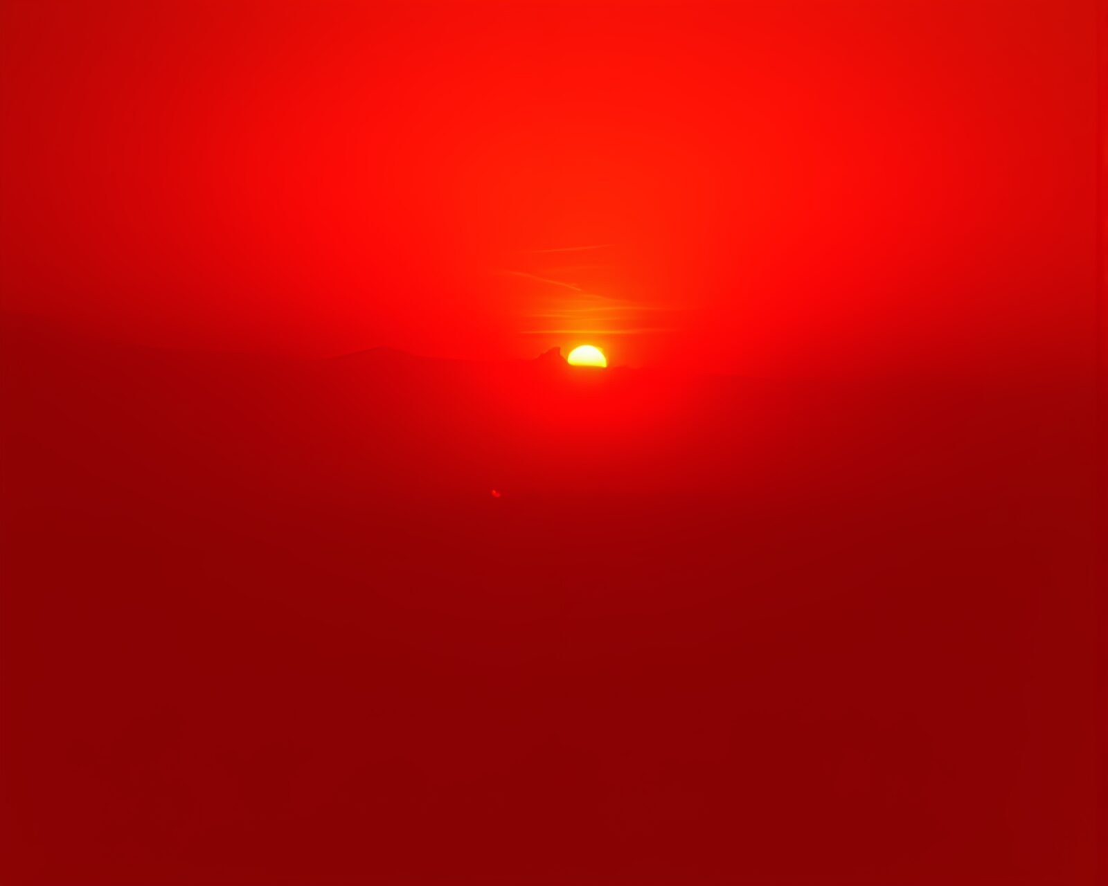 Lithographic style artwork of silhouetted crowd under infrared light