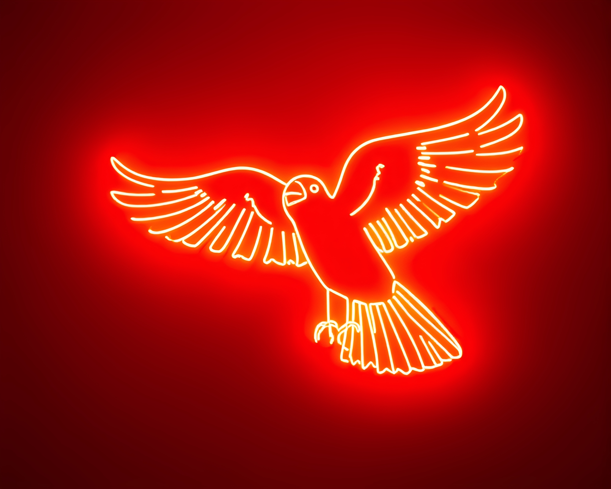 Falcon Wireframe: Neon Film Grain Paper Cutout Art – free AI stock image