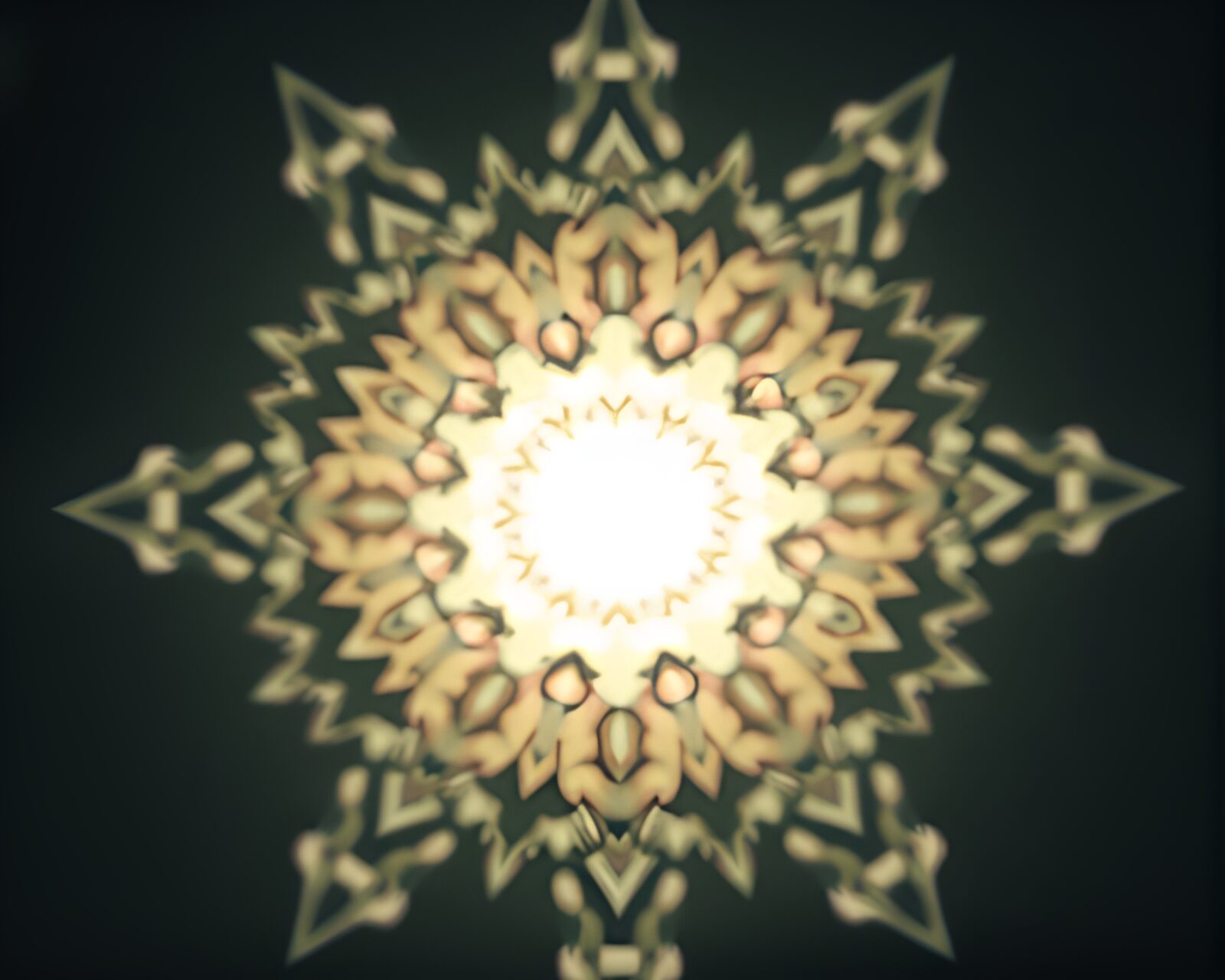 Mandala silhouette with fractal design in soft focus backlighting