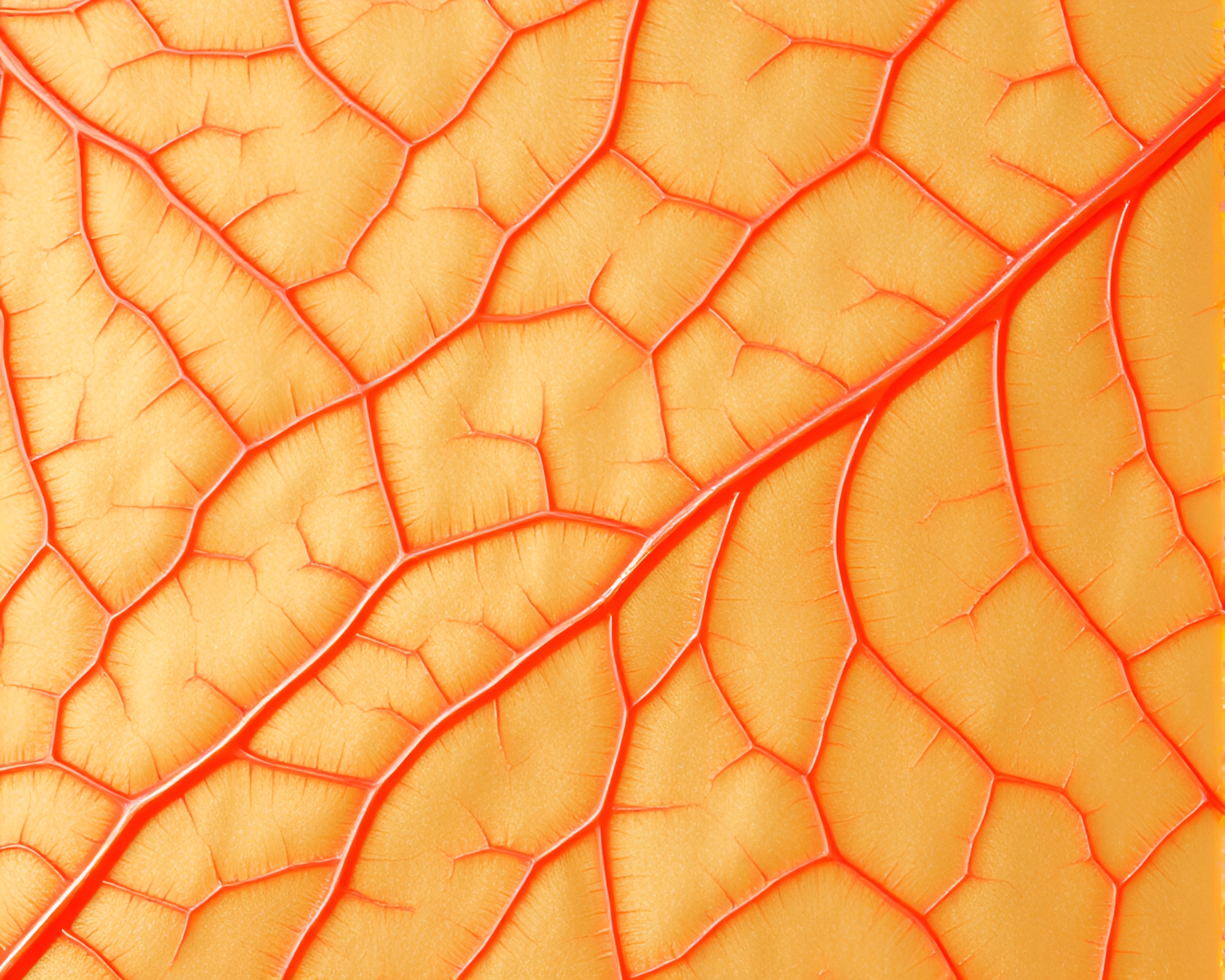 Ethereal Dim Sum: Leaf Vein Patterns Dream – free AI stock image