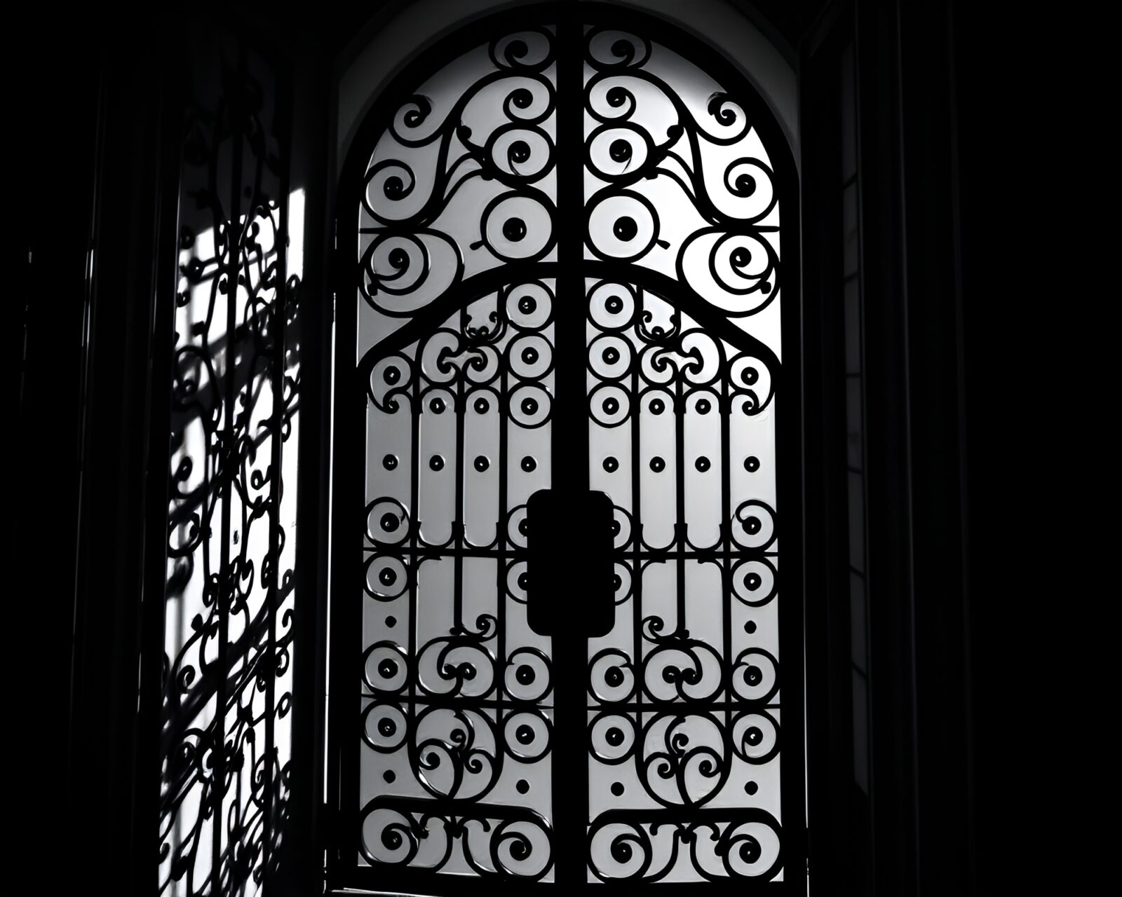 Elegant, mysterious gate displaying intricate patterns in dim light