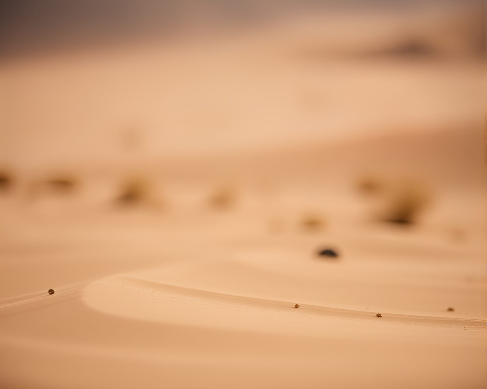 Surreal desert mirage with shimmering floating particles, tilt-shifted