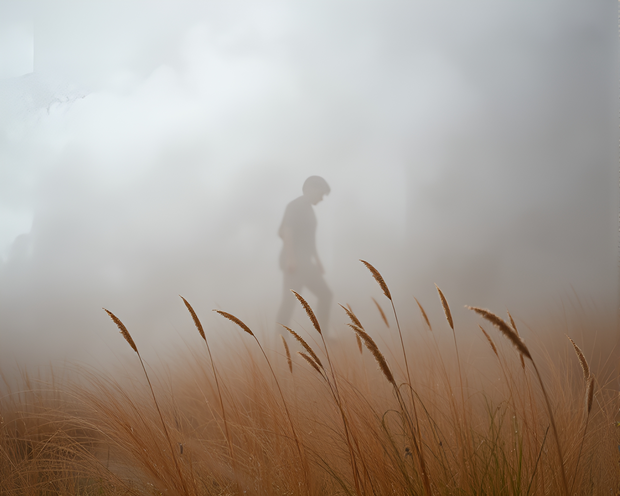 Hazy Geyser Field Hair Simulation Studio Shot – free AI stock image