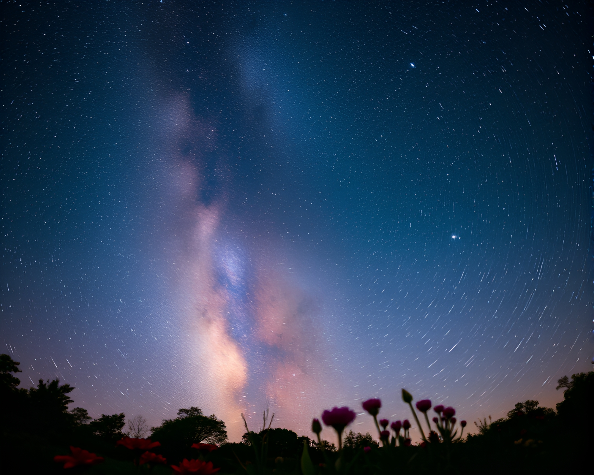 Sky Garden under Milky Way Lens Distortion Spotlight – free AI stock image