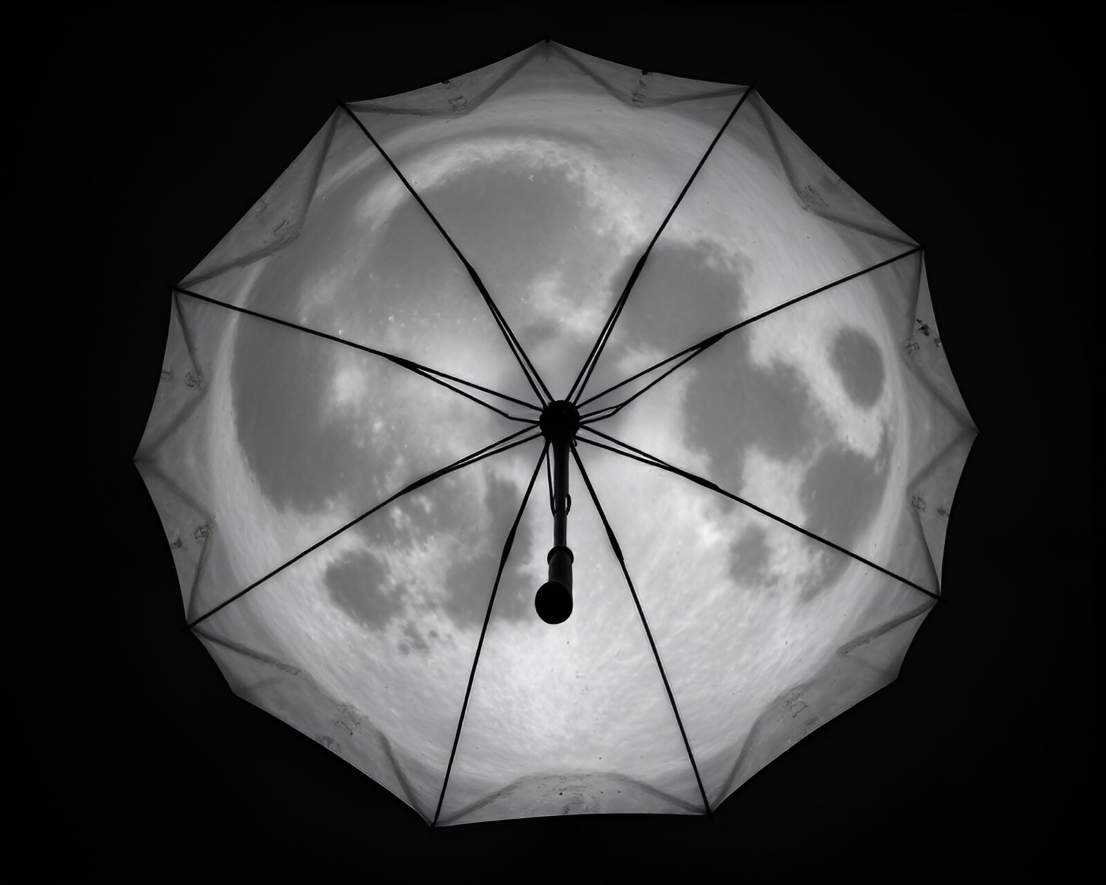 High-angle 3D scan of umbrella in lunar grayscale