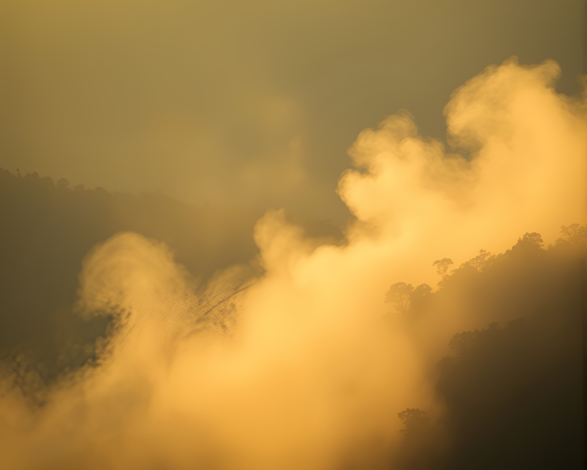 Golden Morning Light in Rainforest with Swirling Smoke Plume – free AI stock image